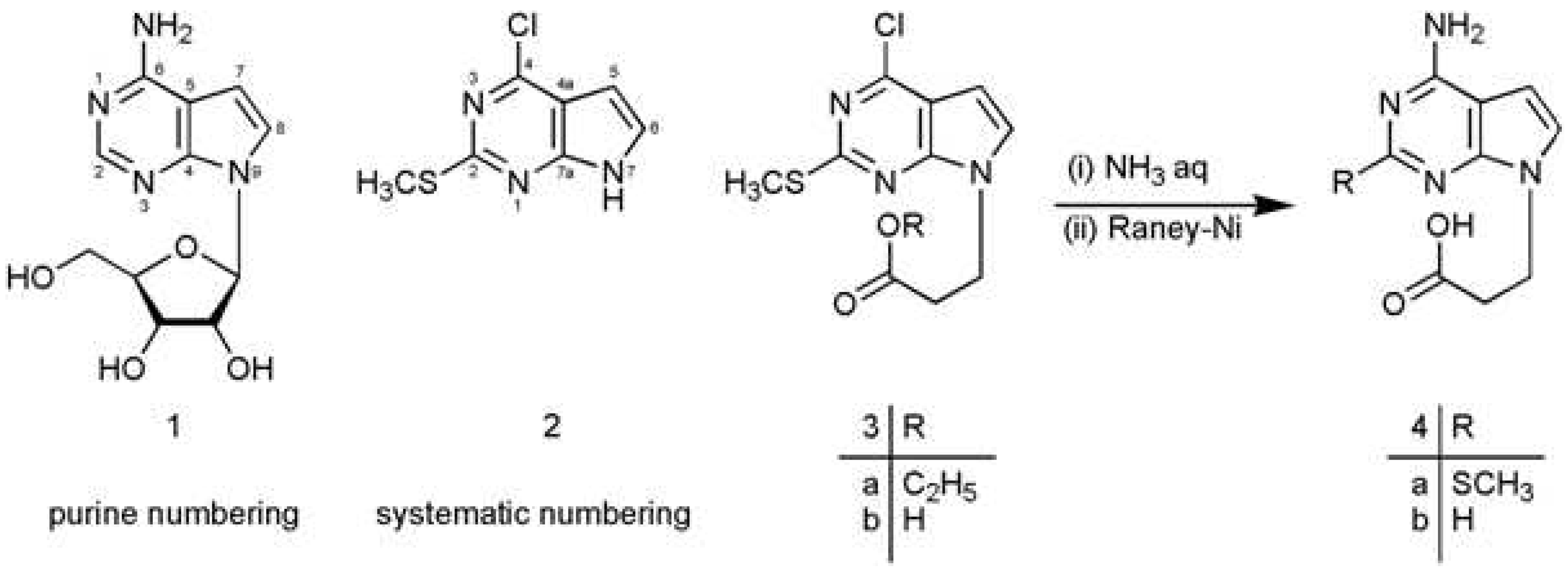Molbank 2007 m555 i001