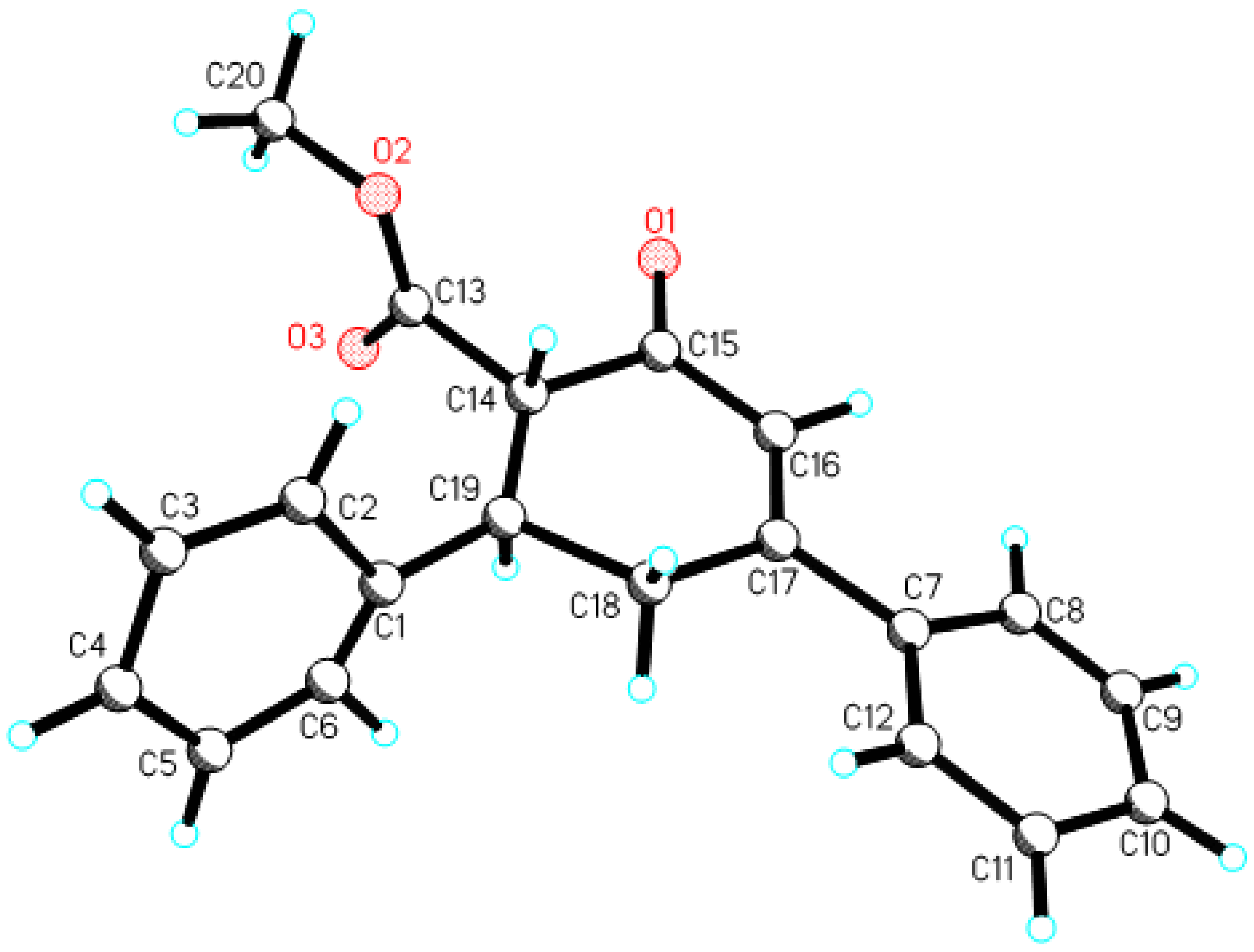 Molbank 2007 m558 g001