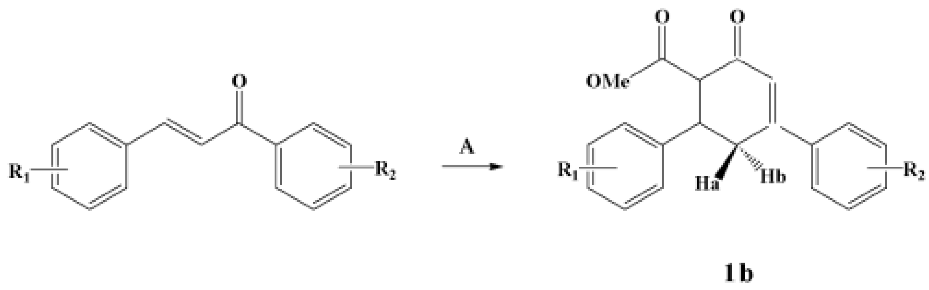 Molbank 2007 m558 sch001