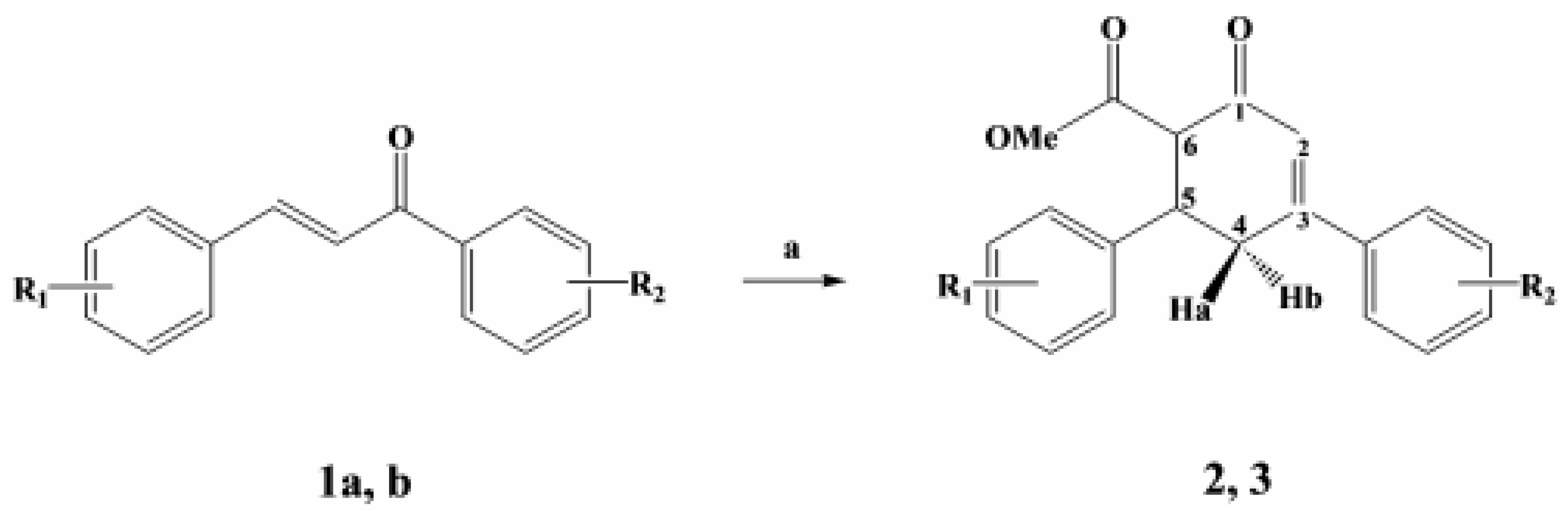 Molbank 2007 m559 sch001
