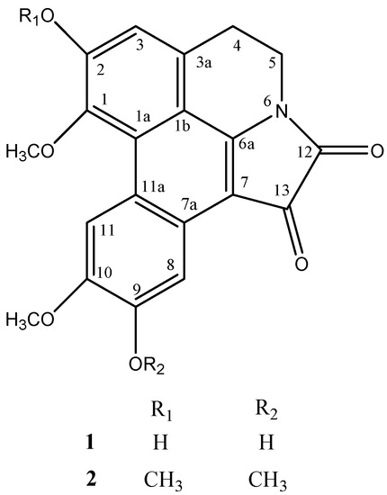 Molbank 2008 m581 g001 550