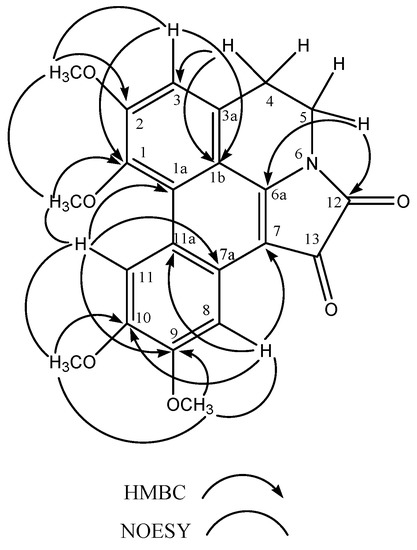 Molbank 2008 m581 g002 550