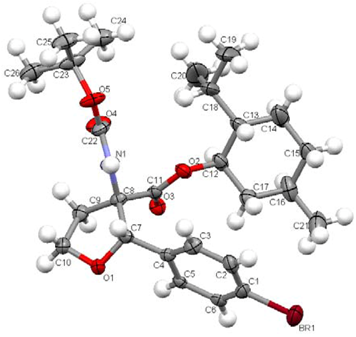 Molbank 2009 m594 i002