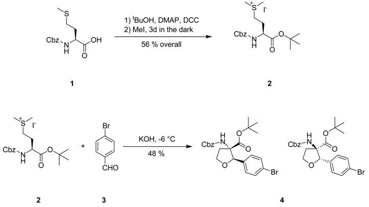 Molbank 2009 m596 i001