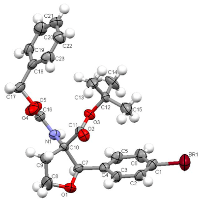 Molbank 2009 m596 i002