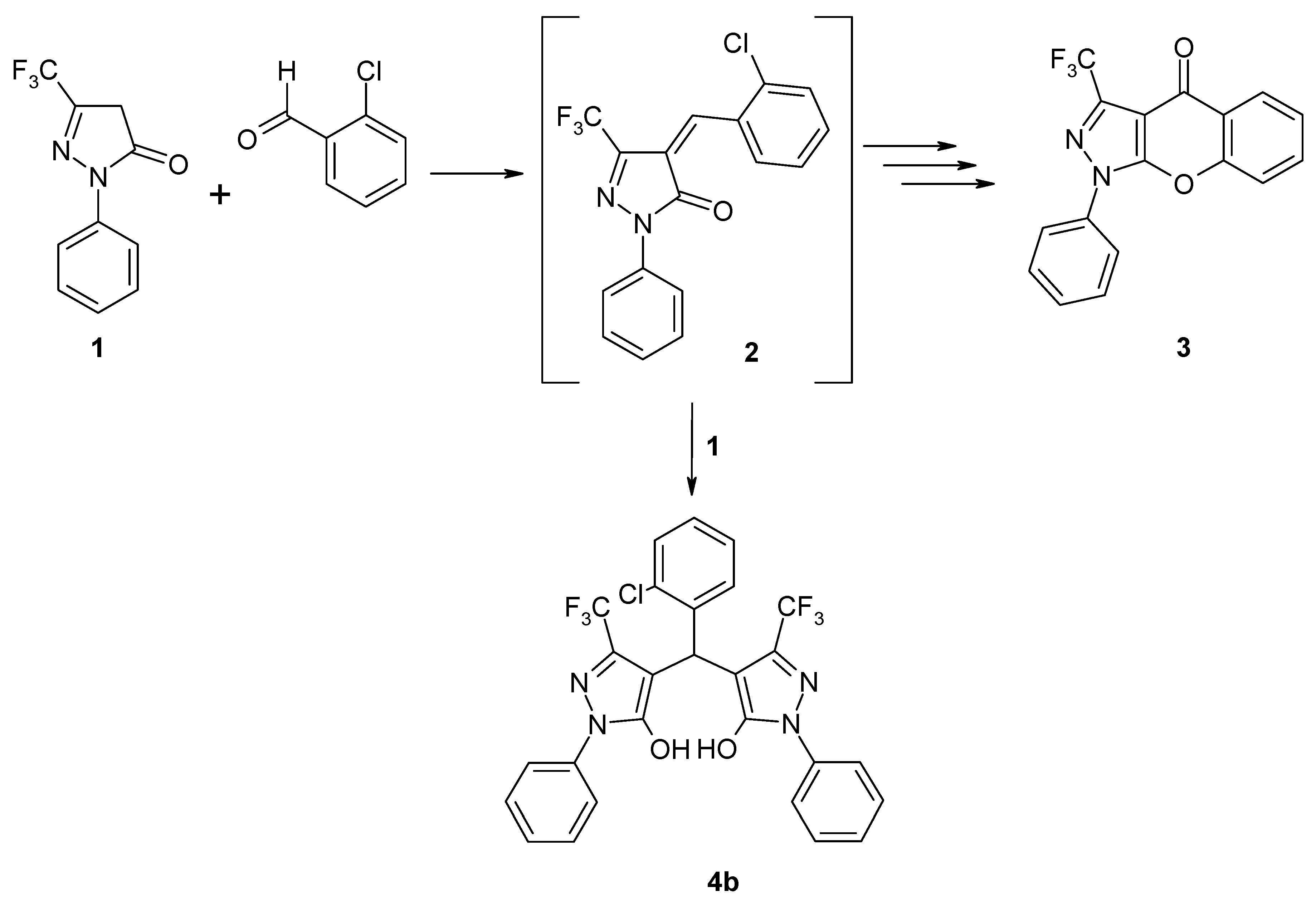 Molbank 2009 m605 sch001