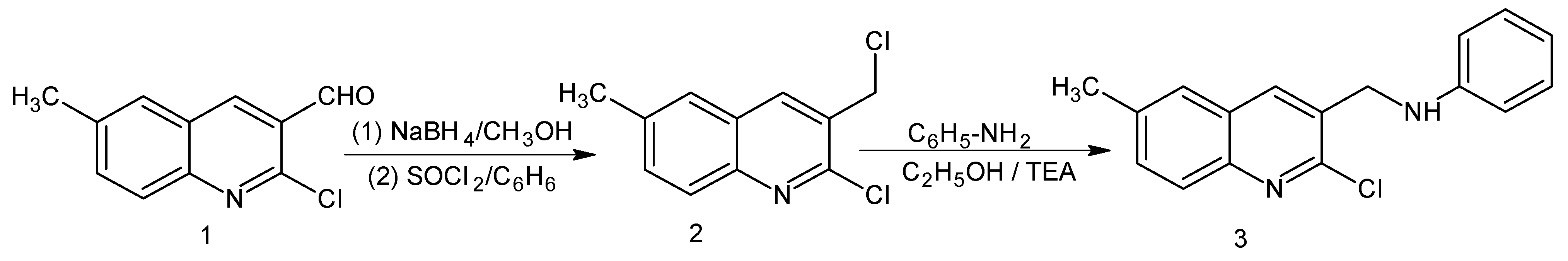 Molbank 2009 m618 g001