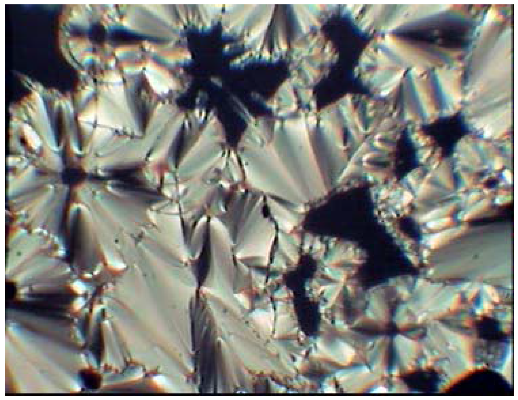 Molbank 2009 m633 g002