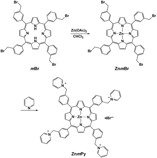 Molbank 2009 m637 sch001 550