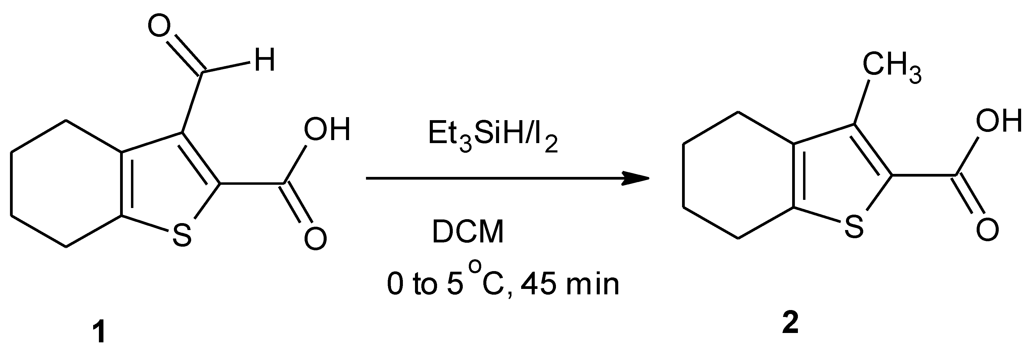 Molbank 2010 m648 sch001