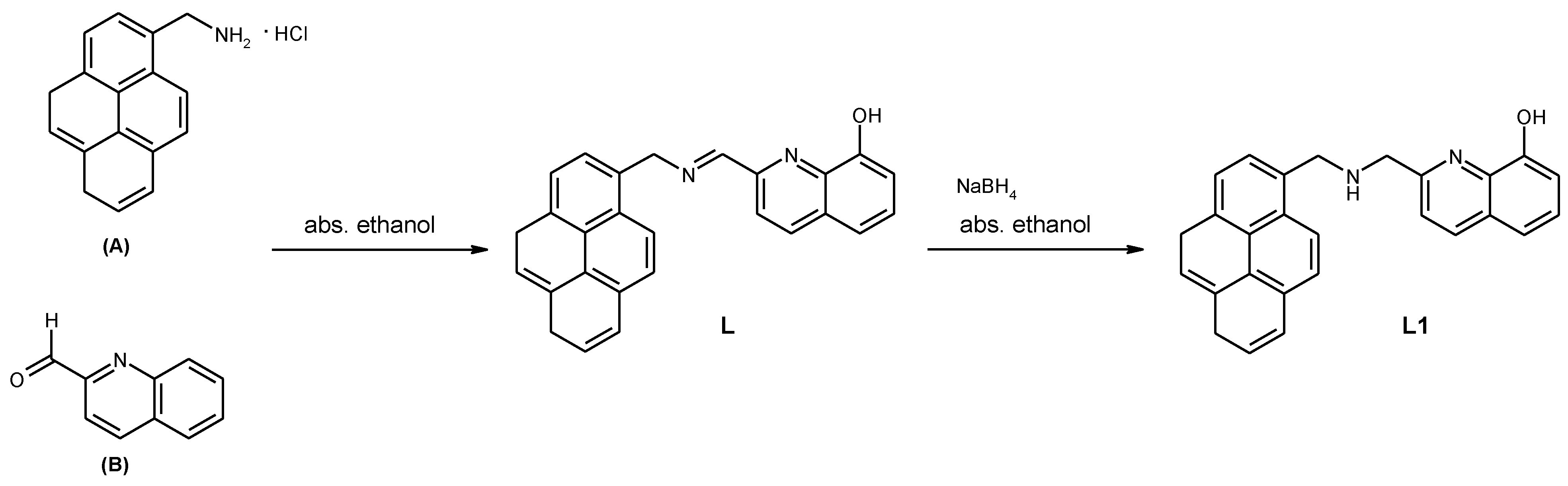 Molbank 2010 m698 g001