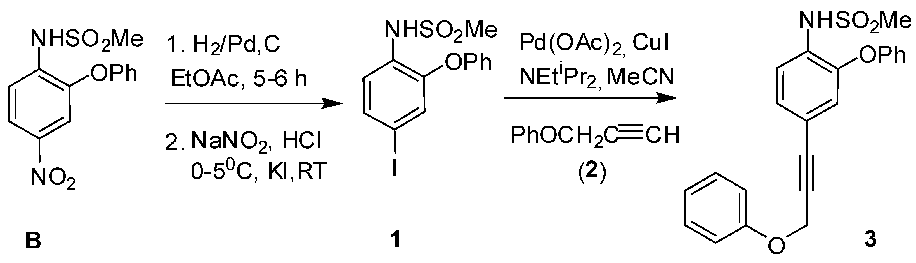 Molbank 2012 m751 sch001