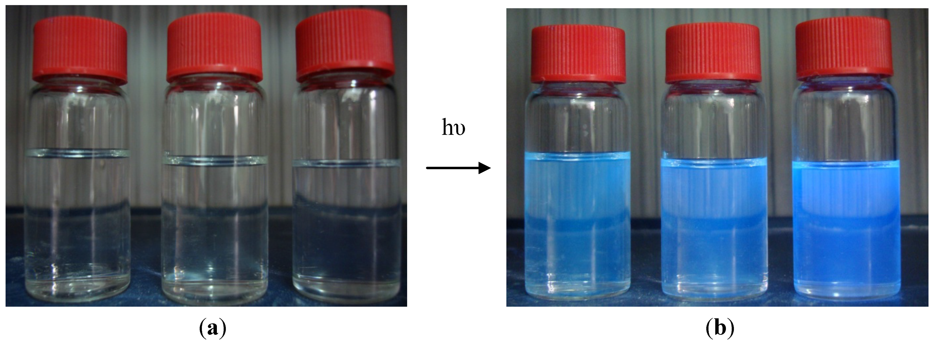 Molbank 2012 m775 g002