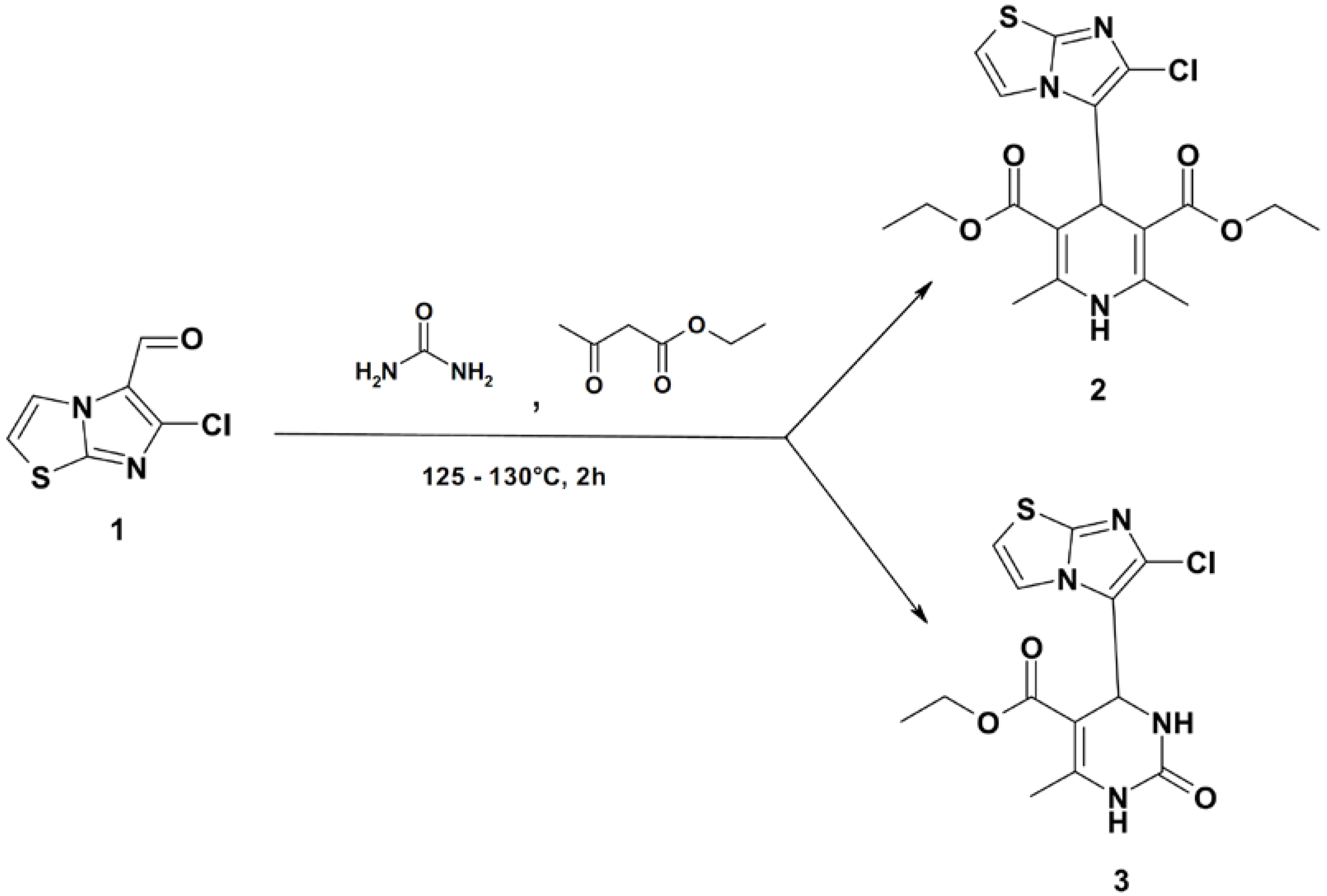 Molbank 2012 m787 sch001