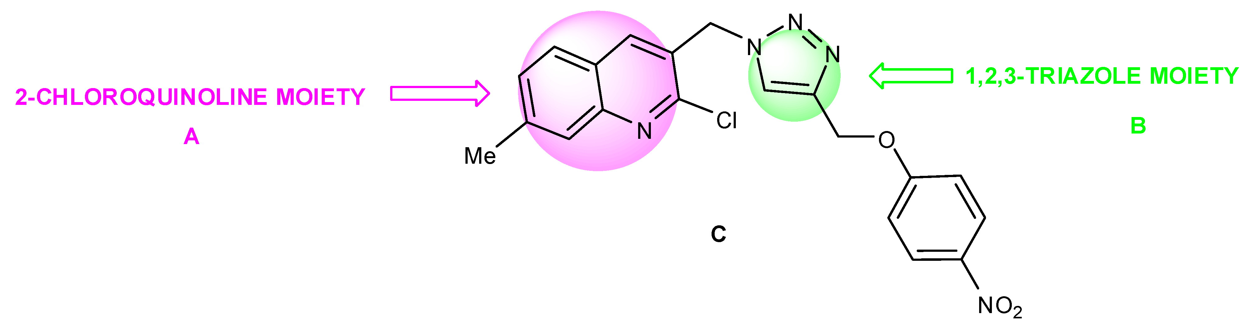 Molbank 2013 m797 sch001