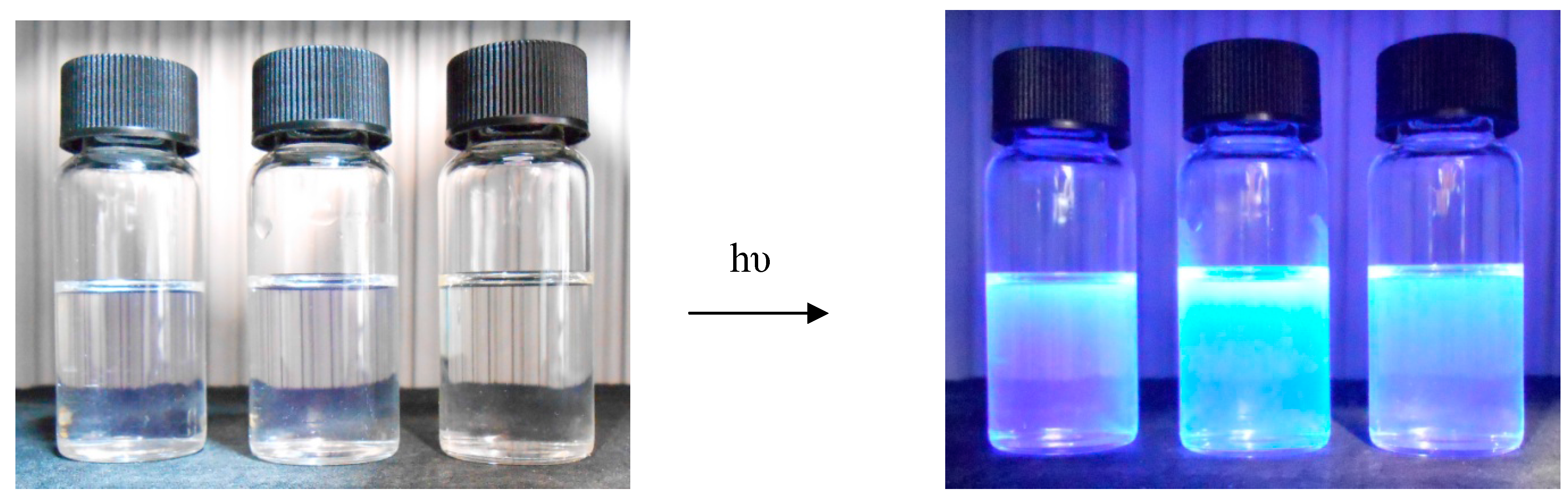 Molbank 2014 m831 g003