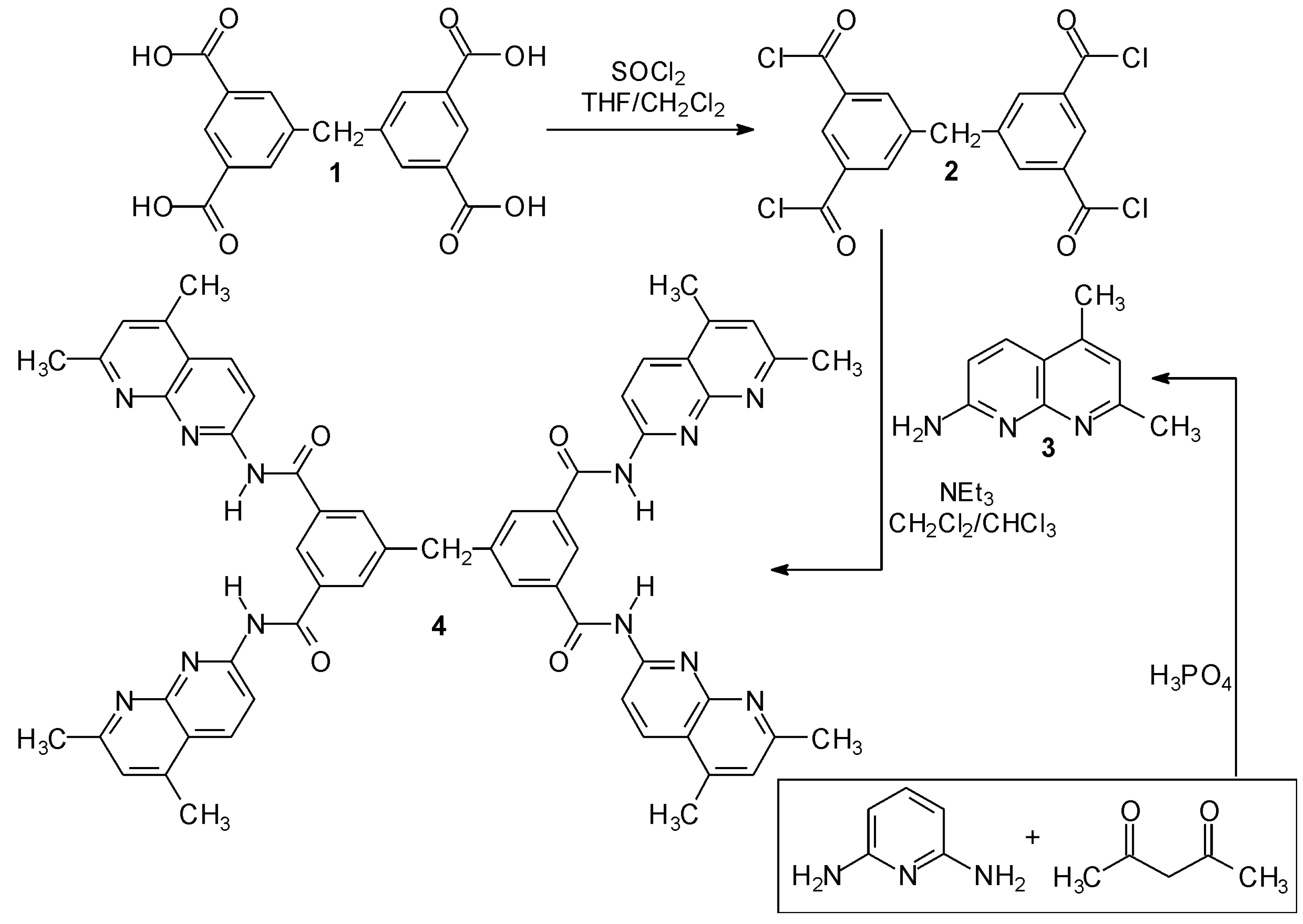 Molbank 2015 m844 sch001