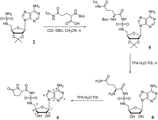 Molbank 2015 m864 sch002 550