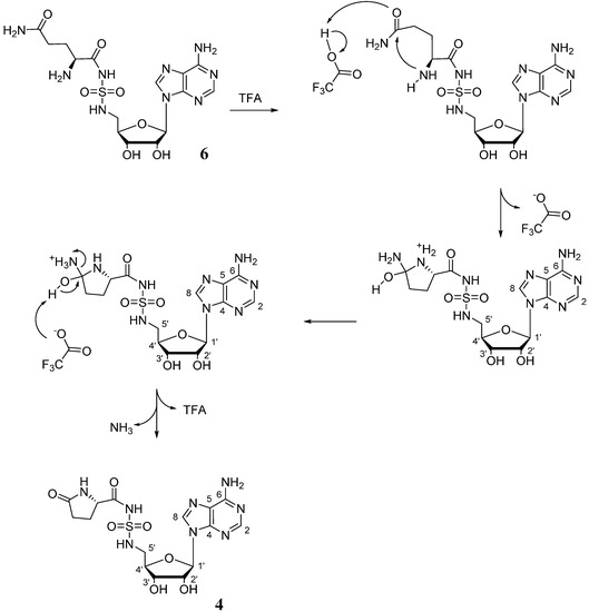 Molbank 2015 m864 sch003 550
