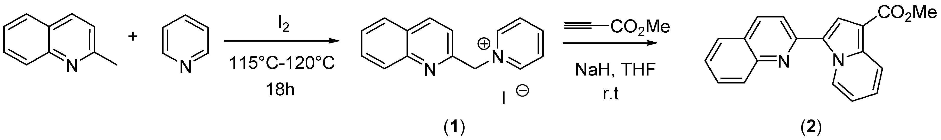 Molbank 2016 m883 g001