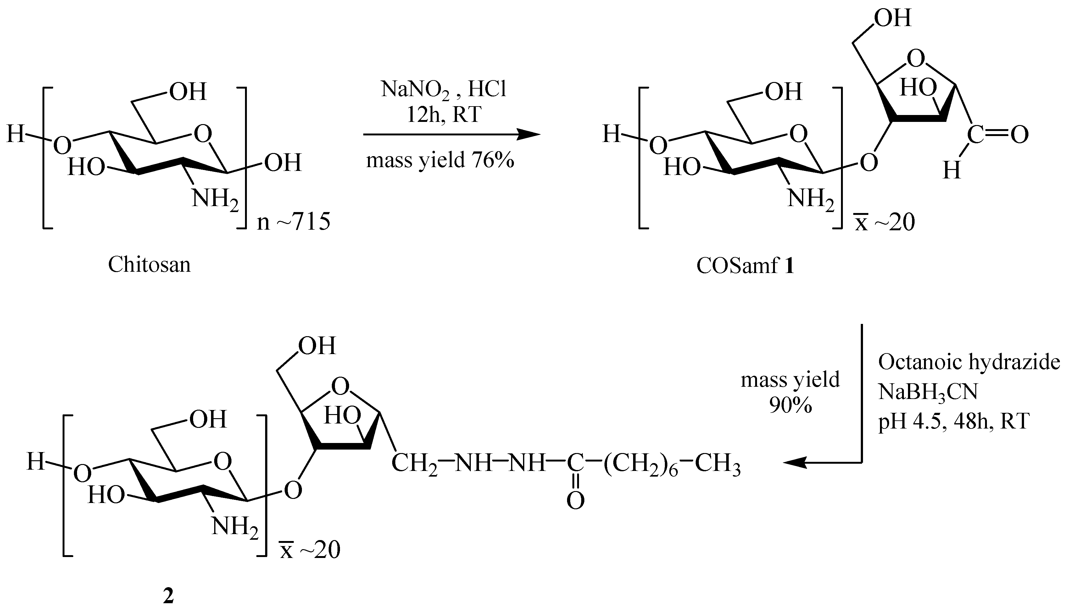 Molbank 2016 m904 sch001