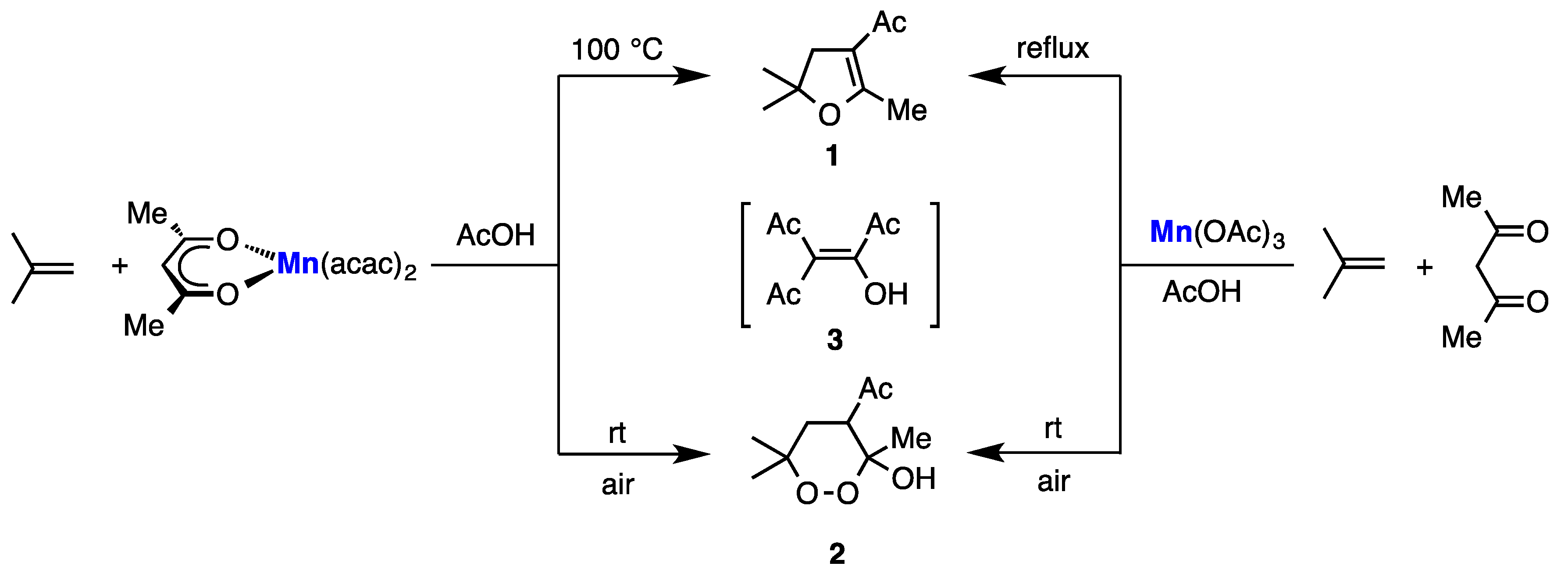 Molbank 2016 m913 sch001