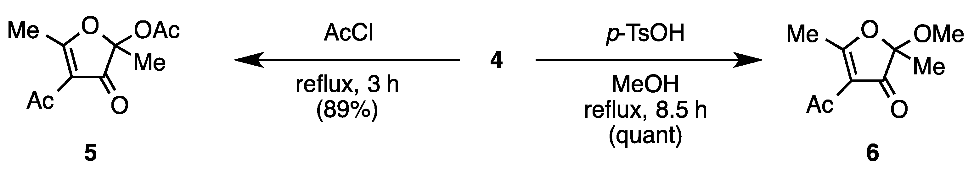Molbank 2016 m913 sch004