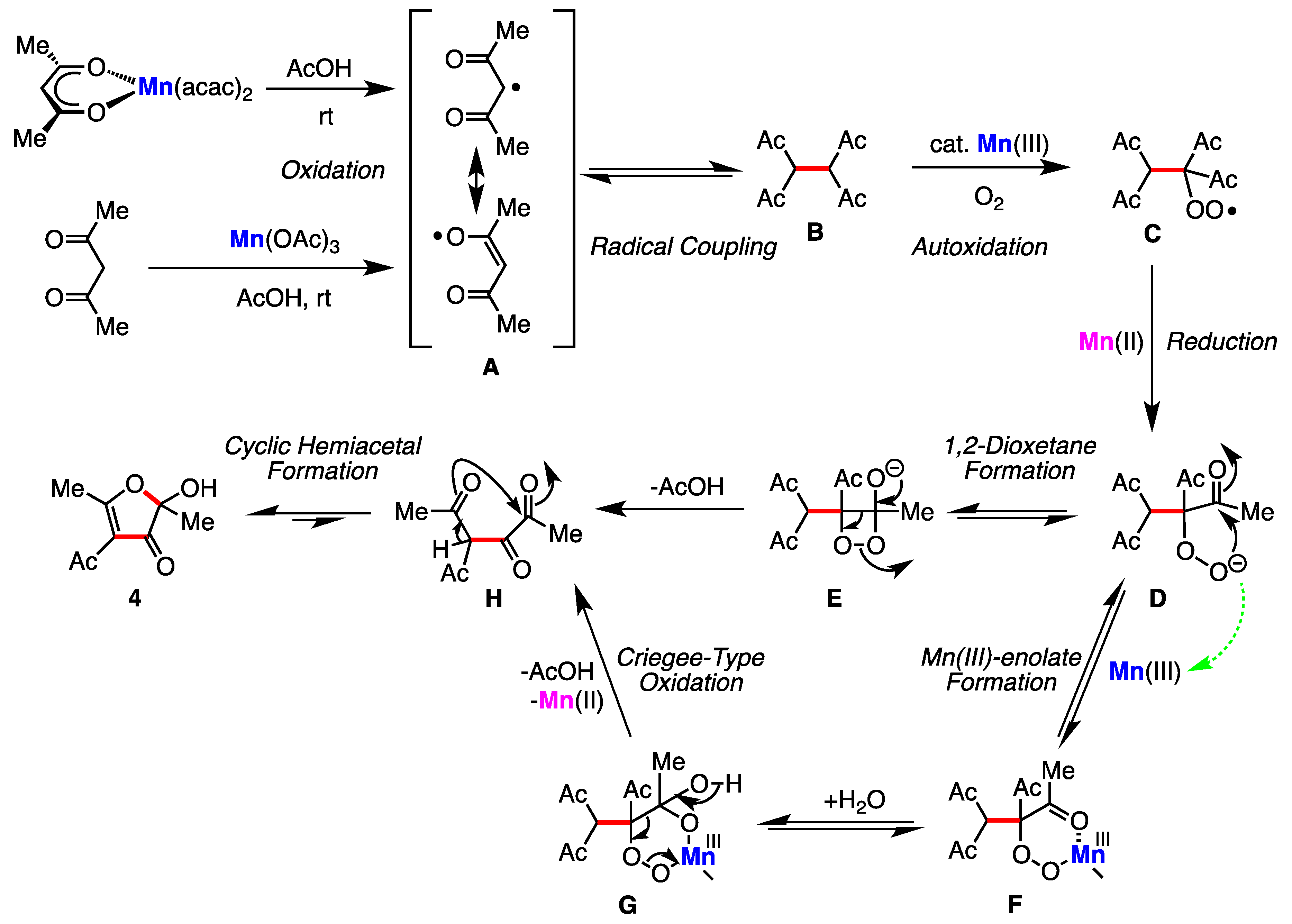 Molbank 2016 m913 sch005