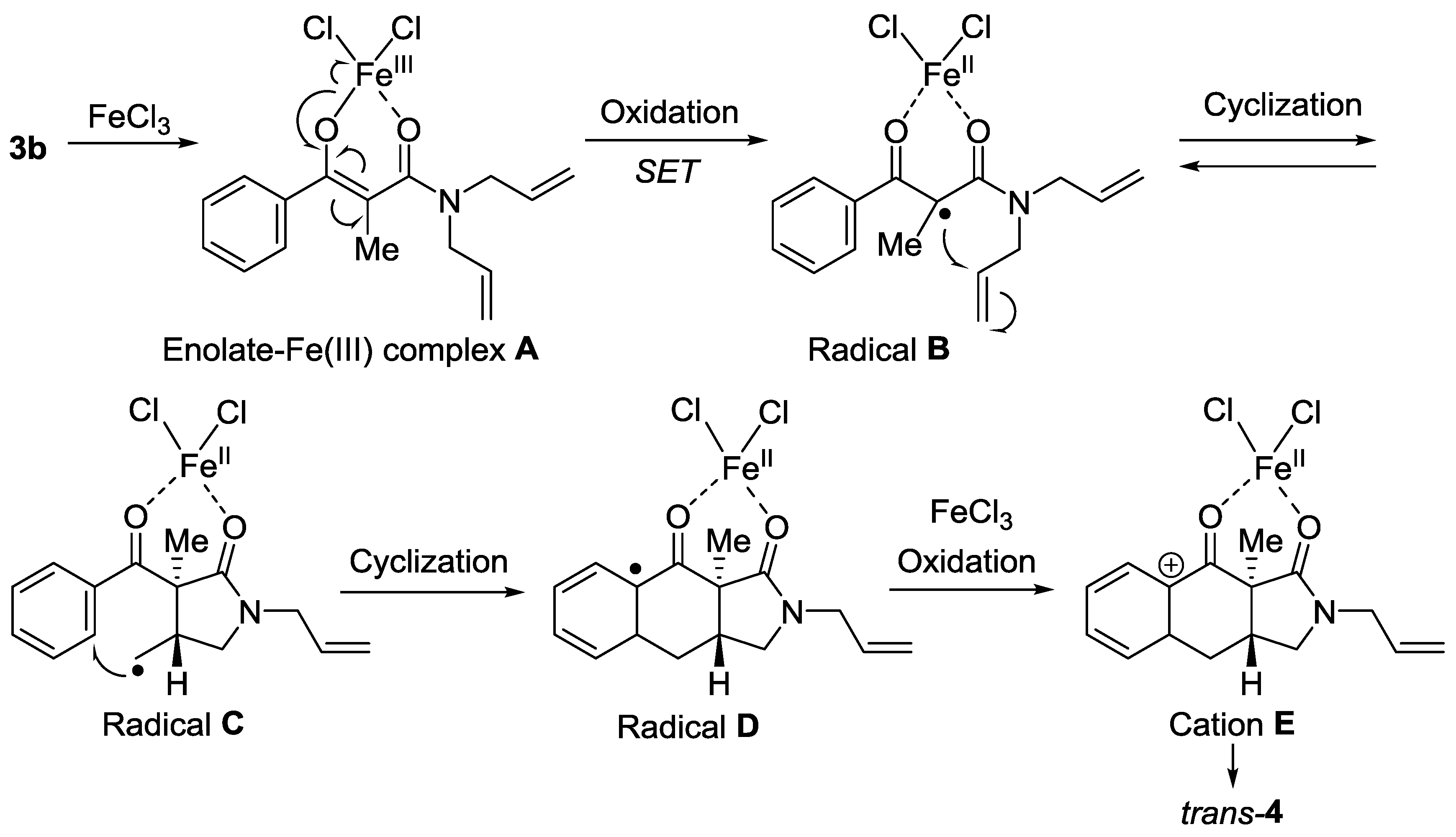 Molbank 2017 m929 g003