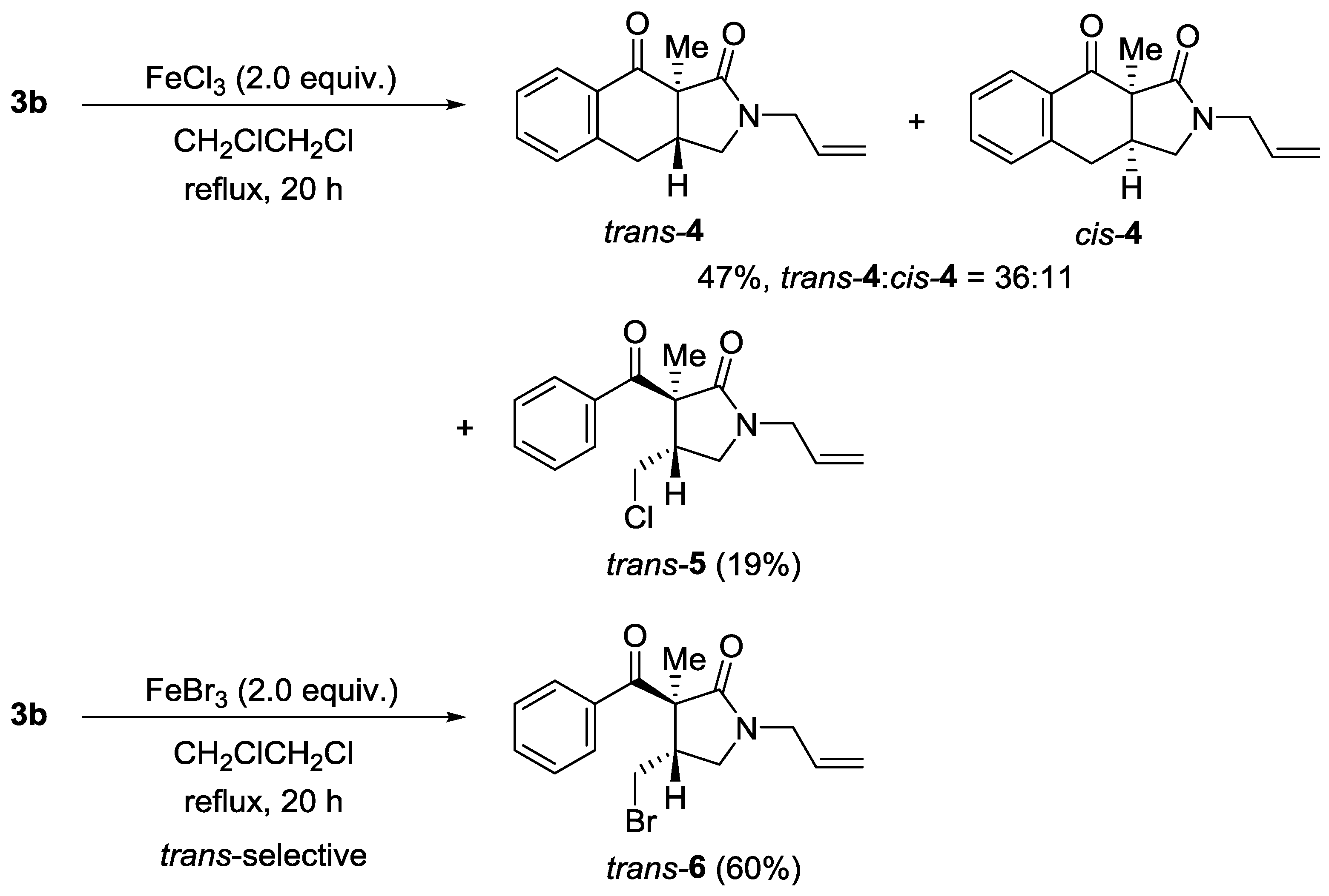 Molbank 2017 m929 sch002