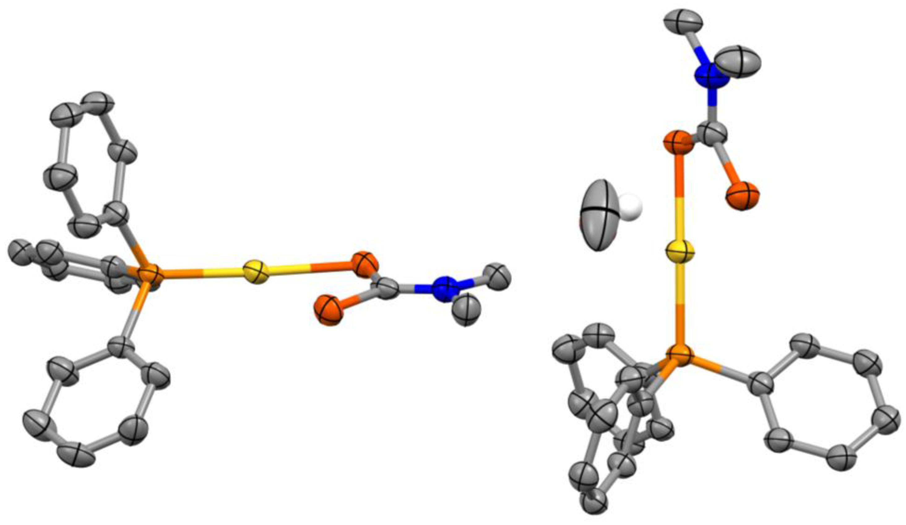 Molbank 2017 m937 g001