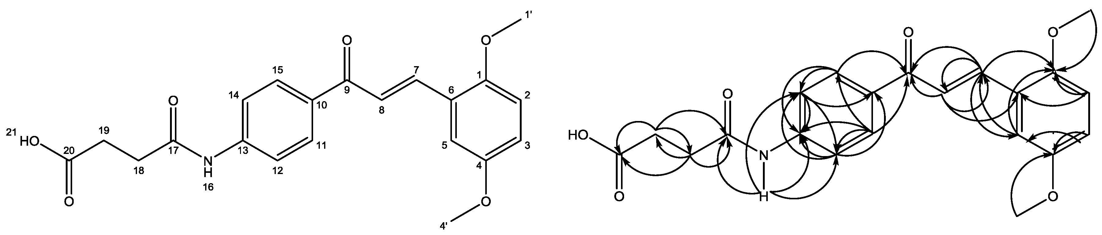 Molbank 2017 m938 g001