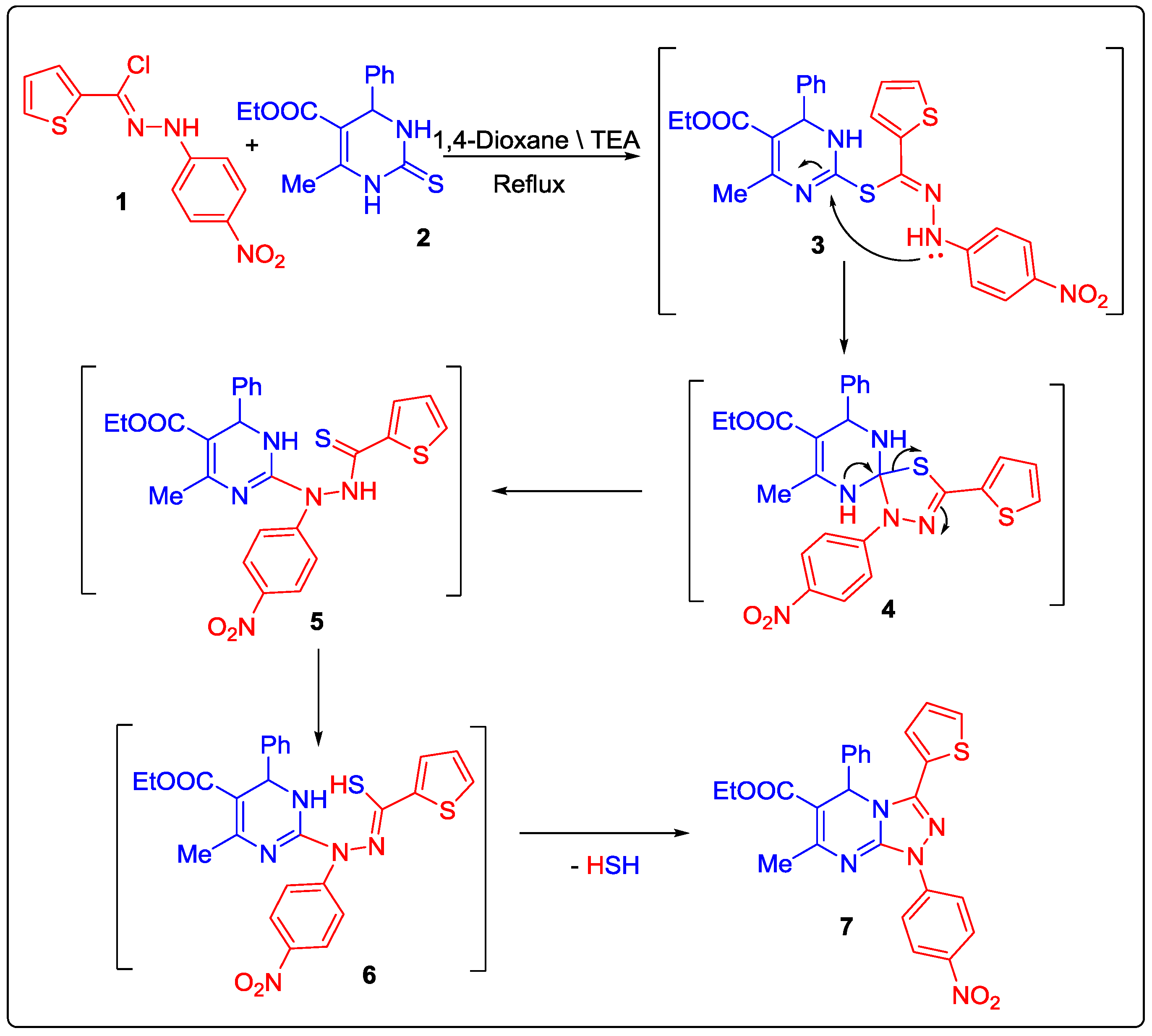Molbank 2017 m942 sch001