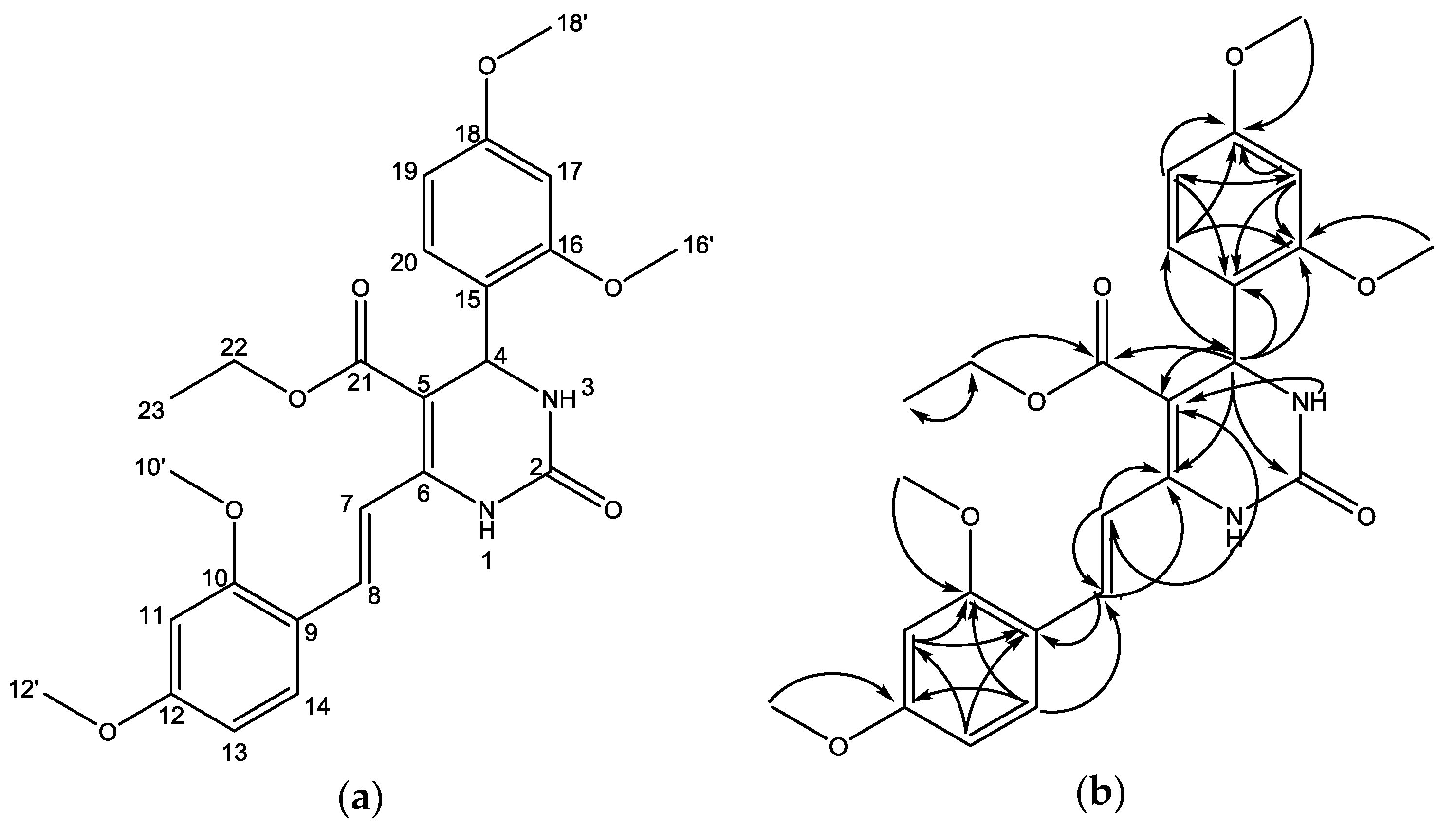 Molbank 2017 m946 g003