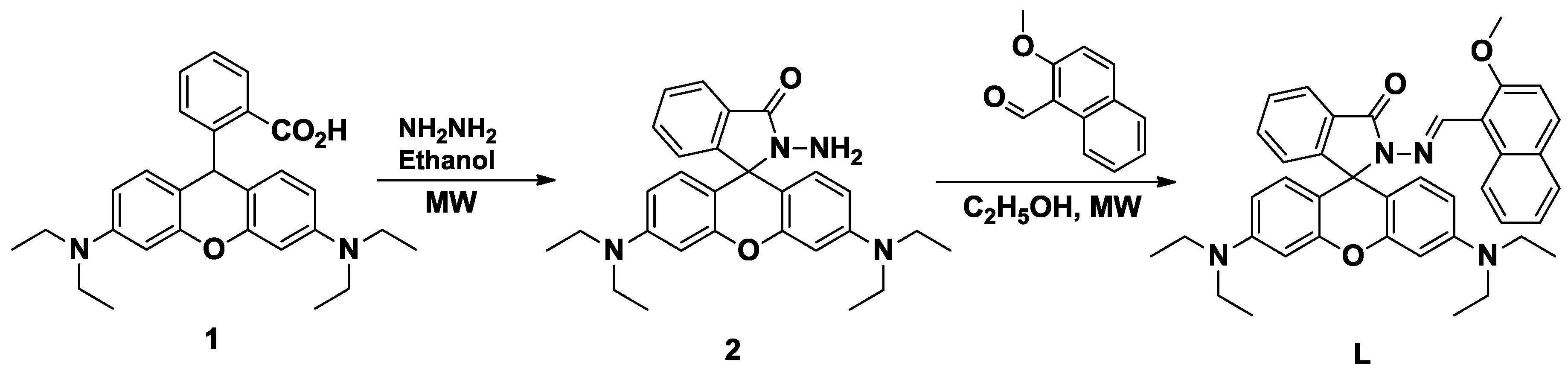 Molbank 2017 m955 sch001
