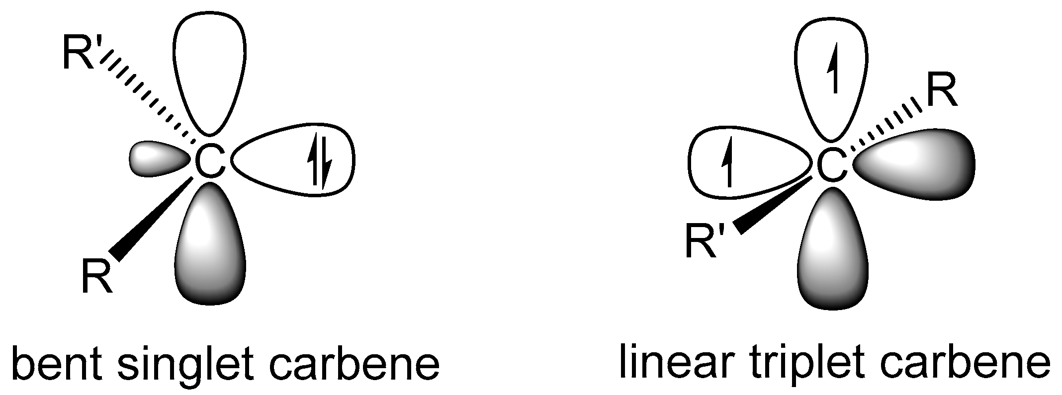 Molbank 2017 m962 g002