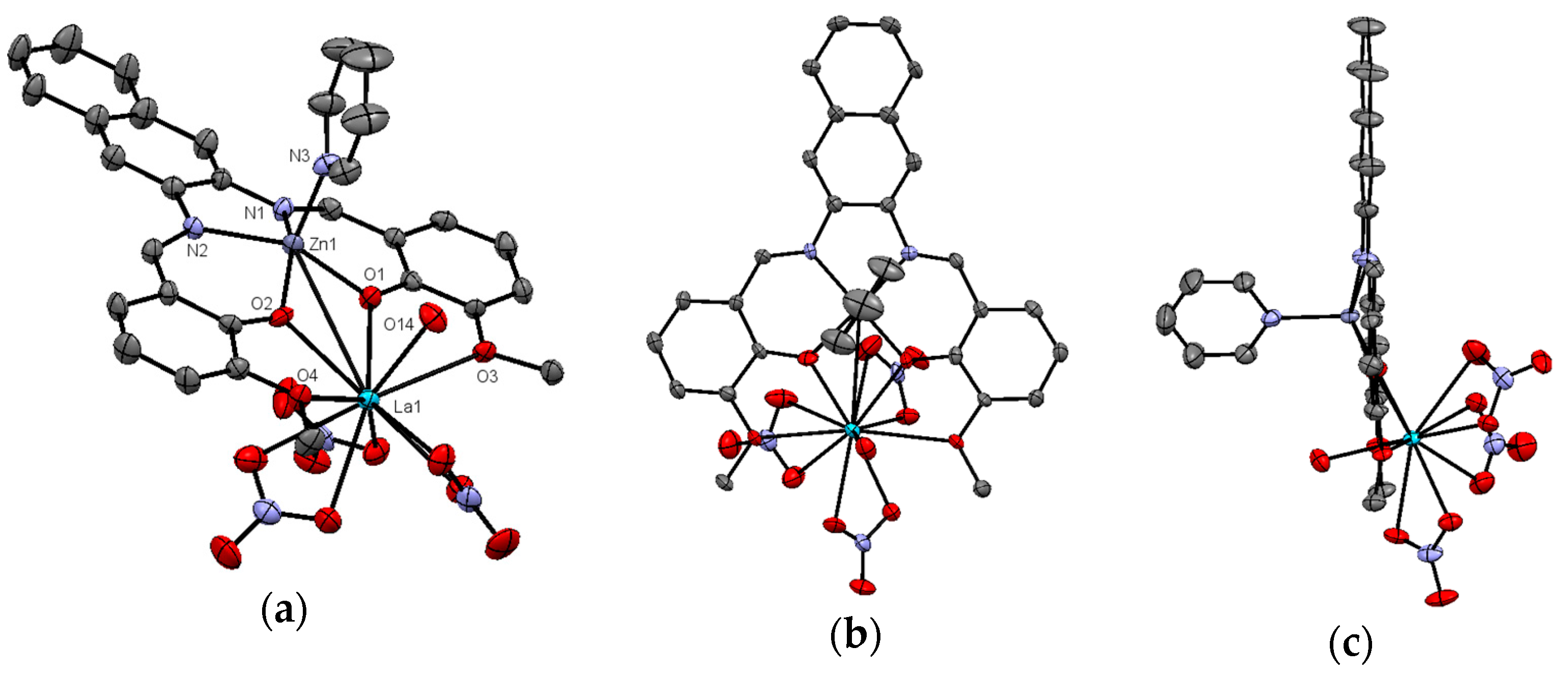 Molbank 2017 m965 g001