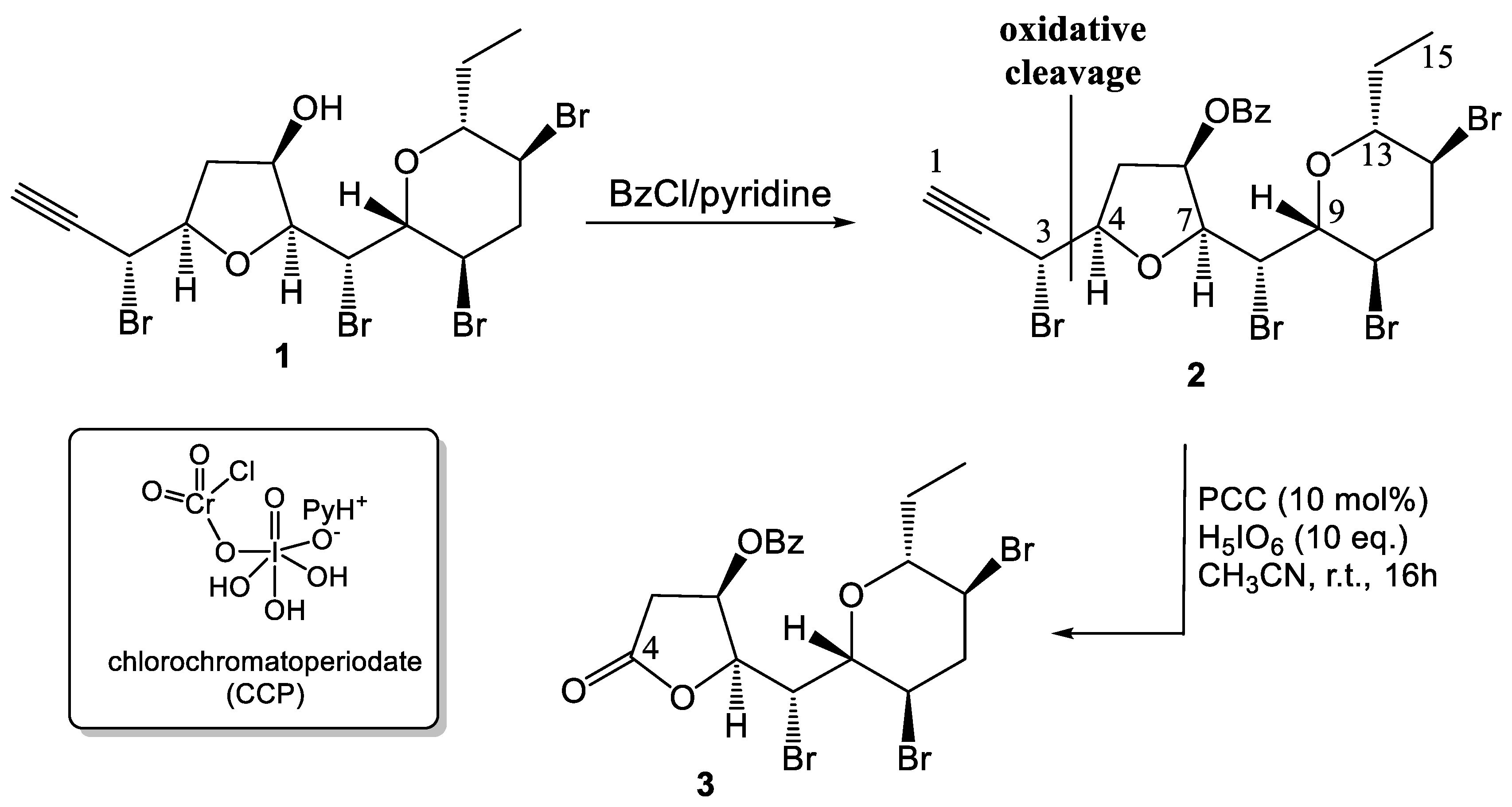 Molbank 2017 m969 sch001