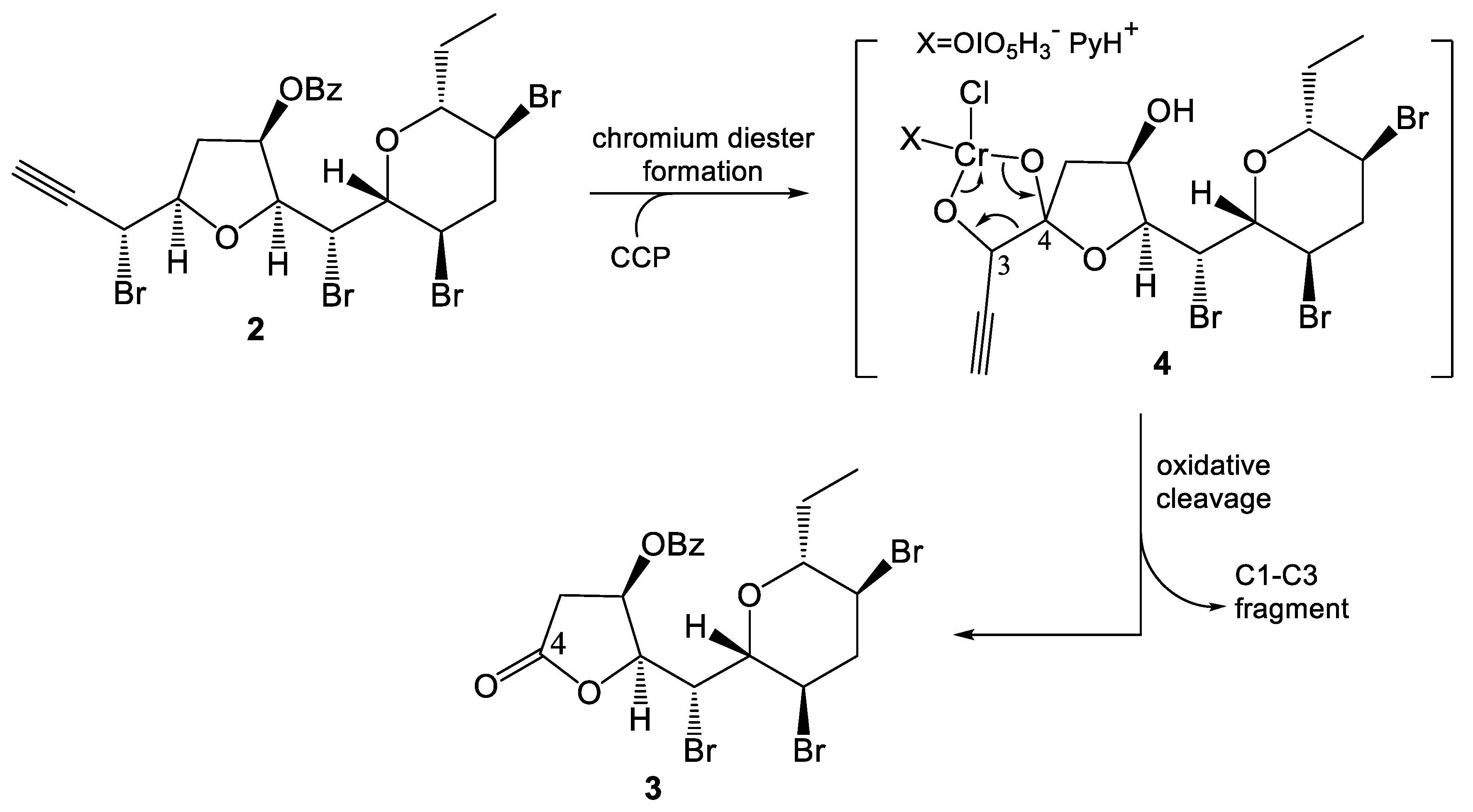 Molbank 2017 m969 sch002