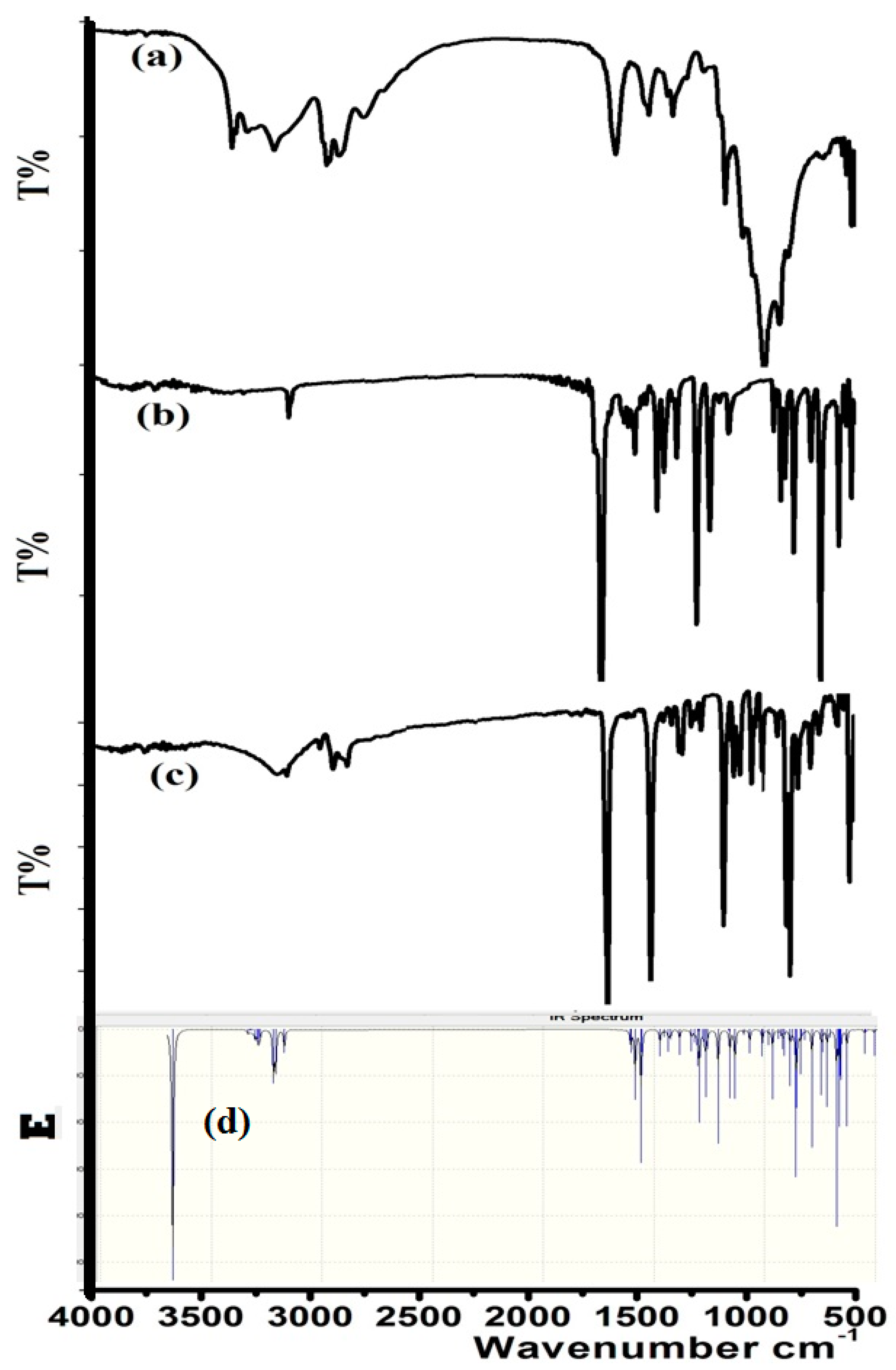 Molbank 2017 m971 g002