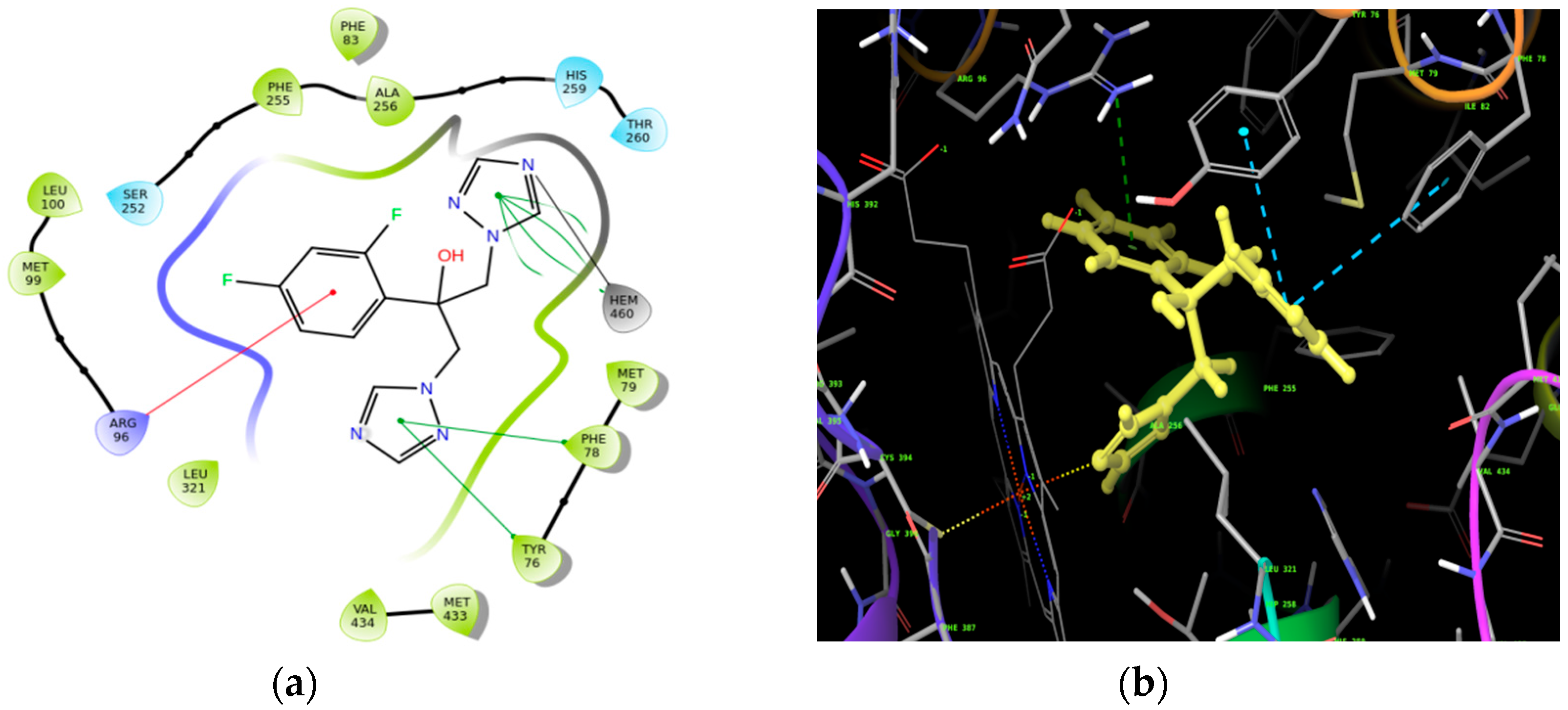 Molbank 2018 m1000 g001