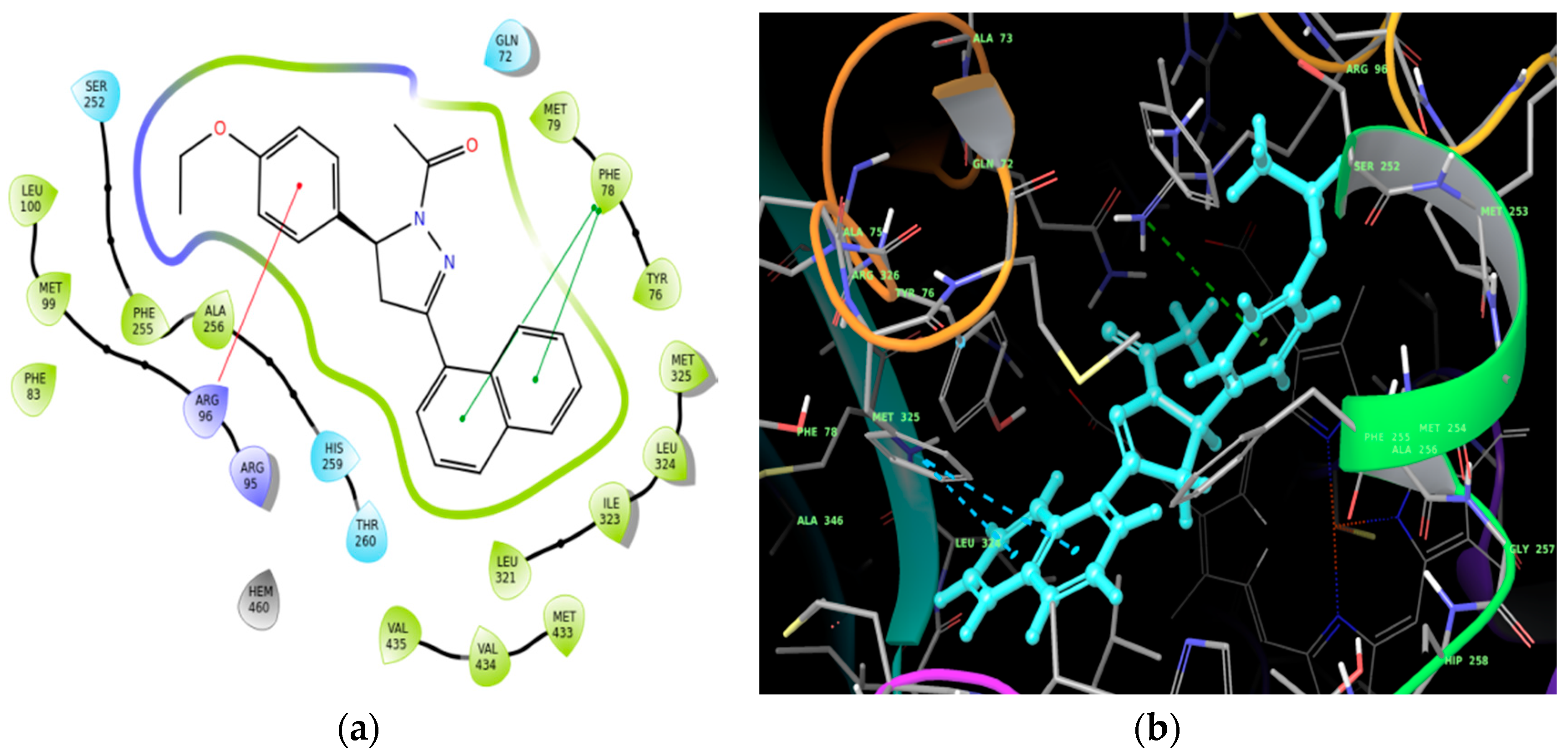 Molbank 2018 m1000 g002