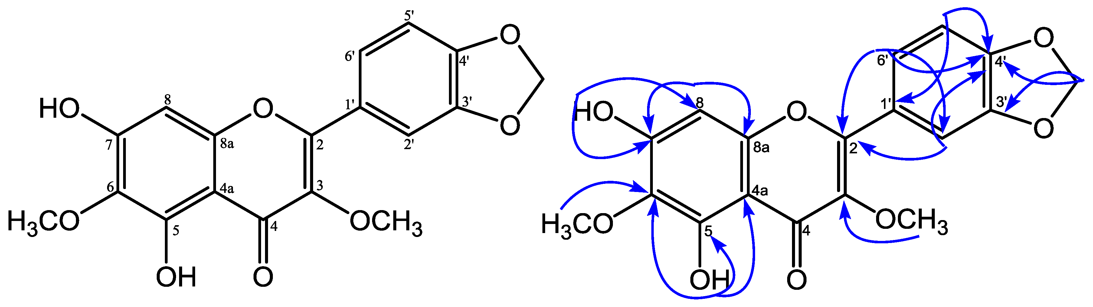 Molbank 2018 m1007 g001