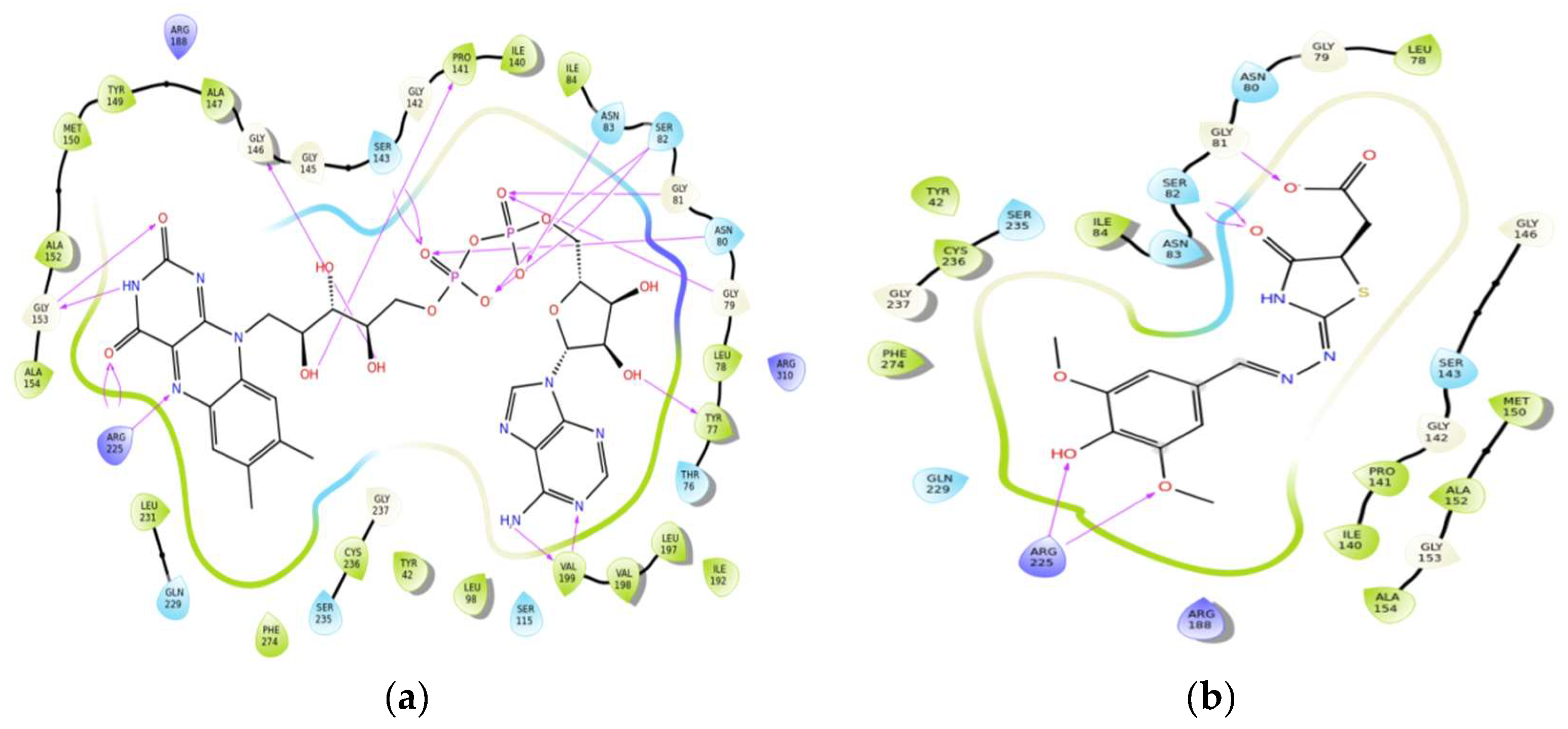 Molbank 2018 m1009 g001 Molbank 2018 m1009 g001