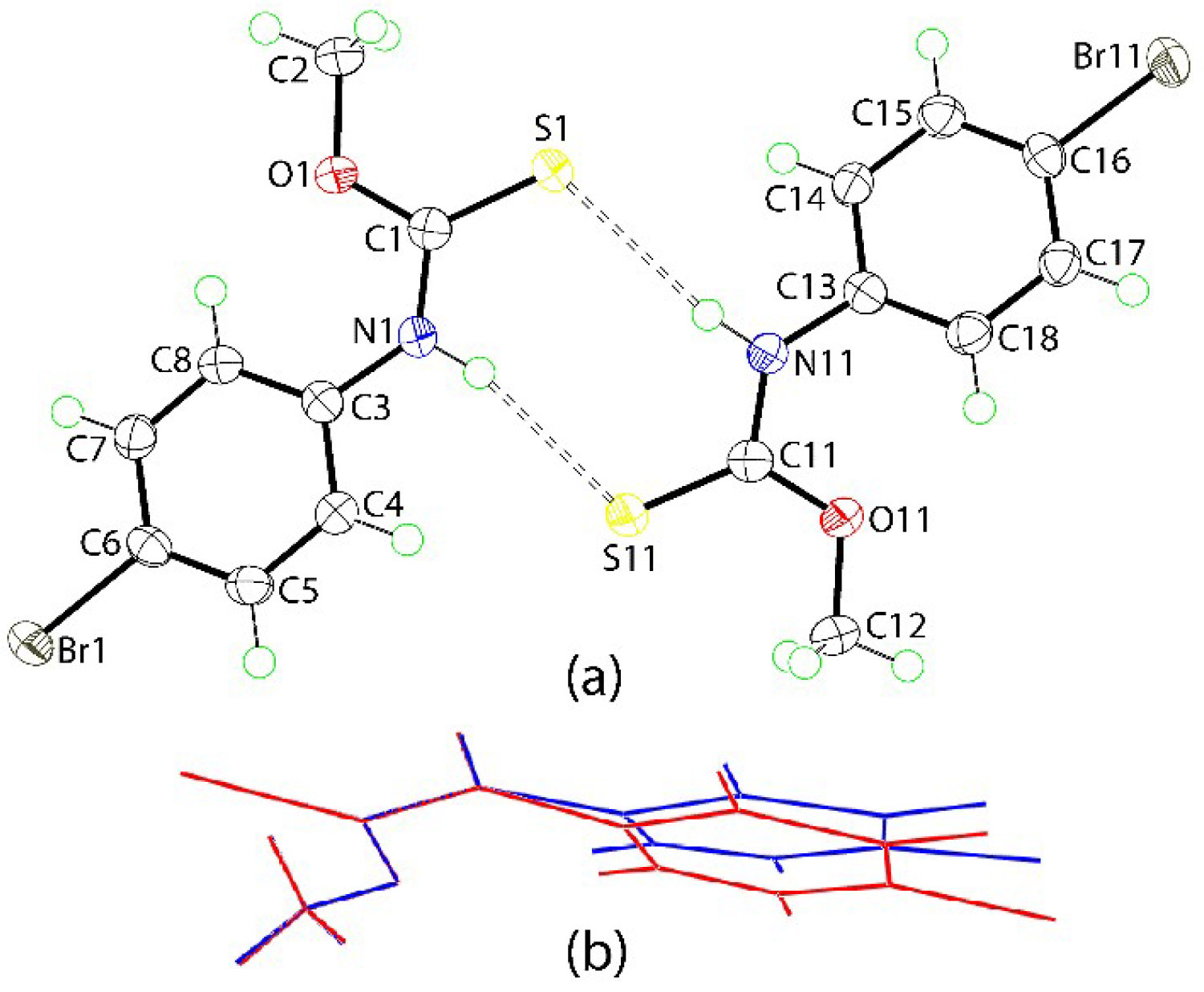 Molbank 2018 m1012 g001
