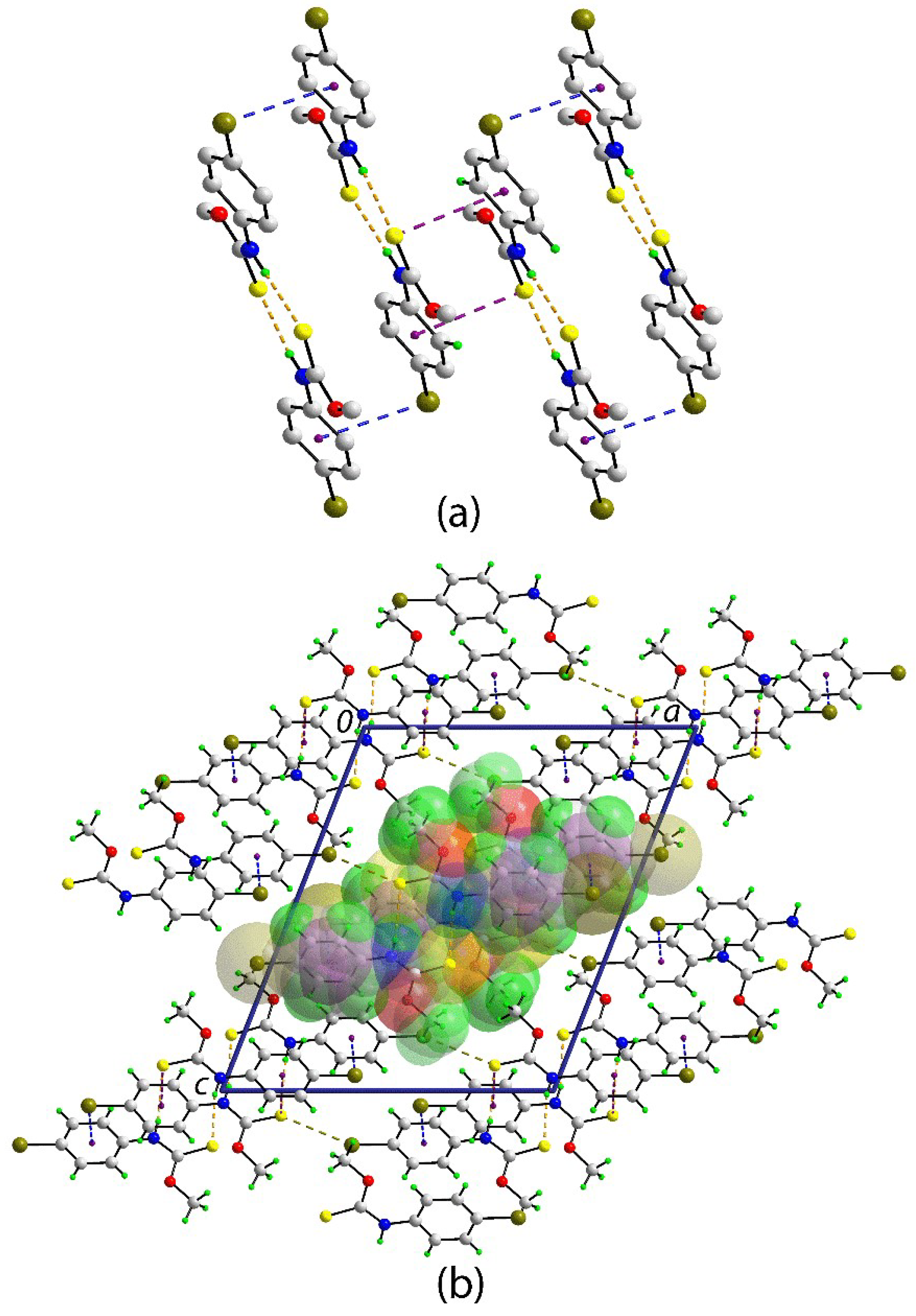 Molbank 2018 m1012 g002