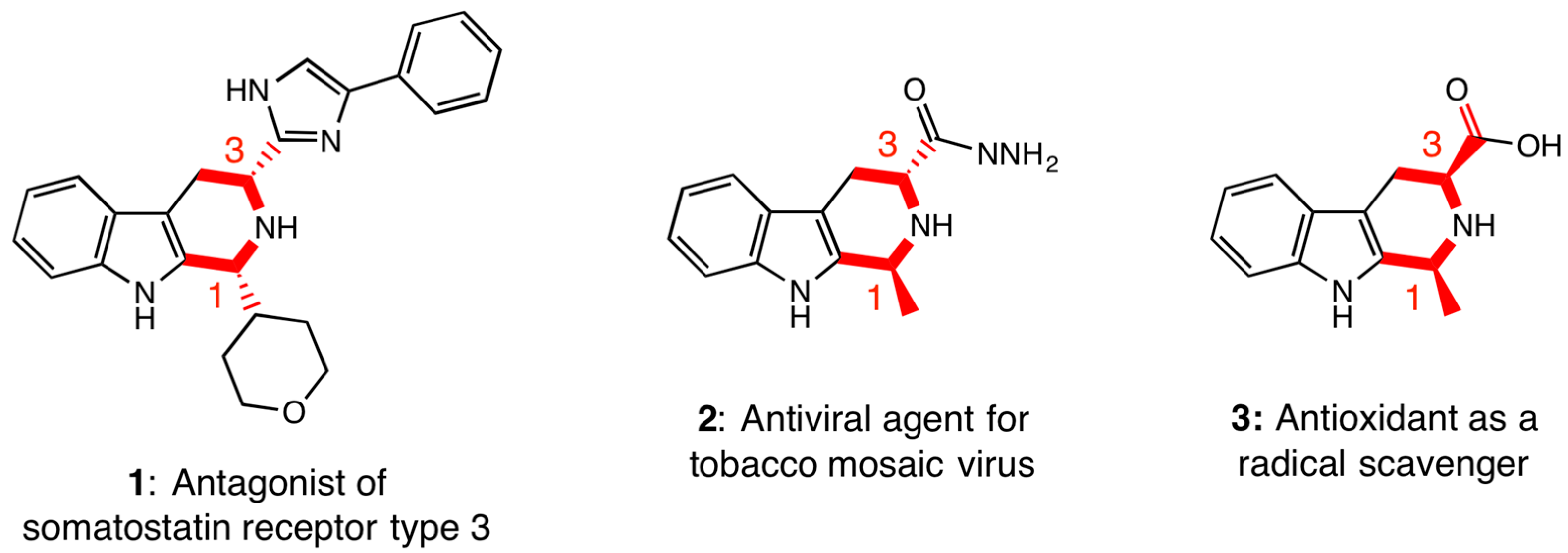 Molbank 2018 m973 g001