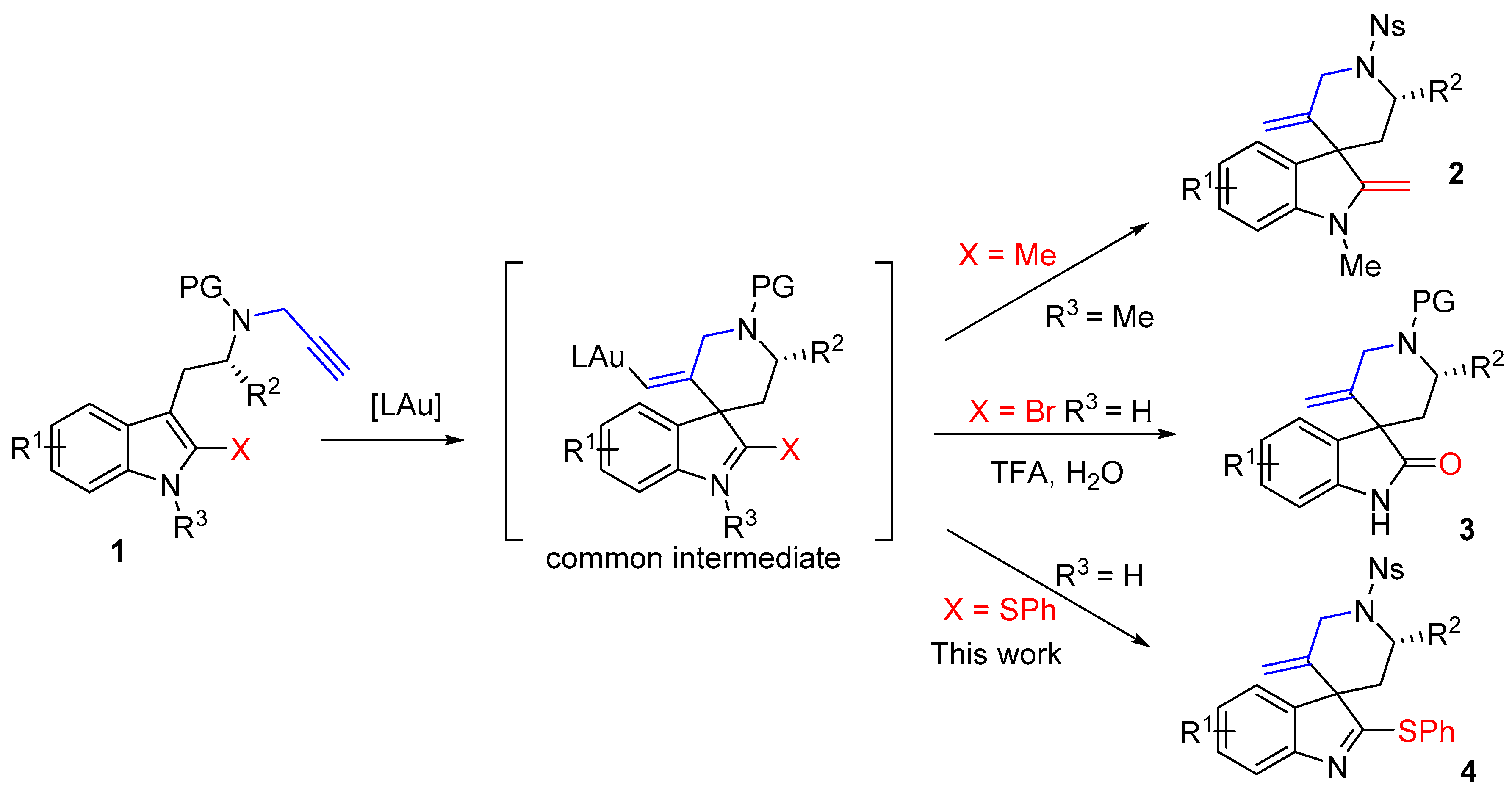 Molbank 2018 m985 sch001