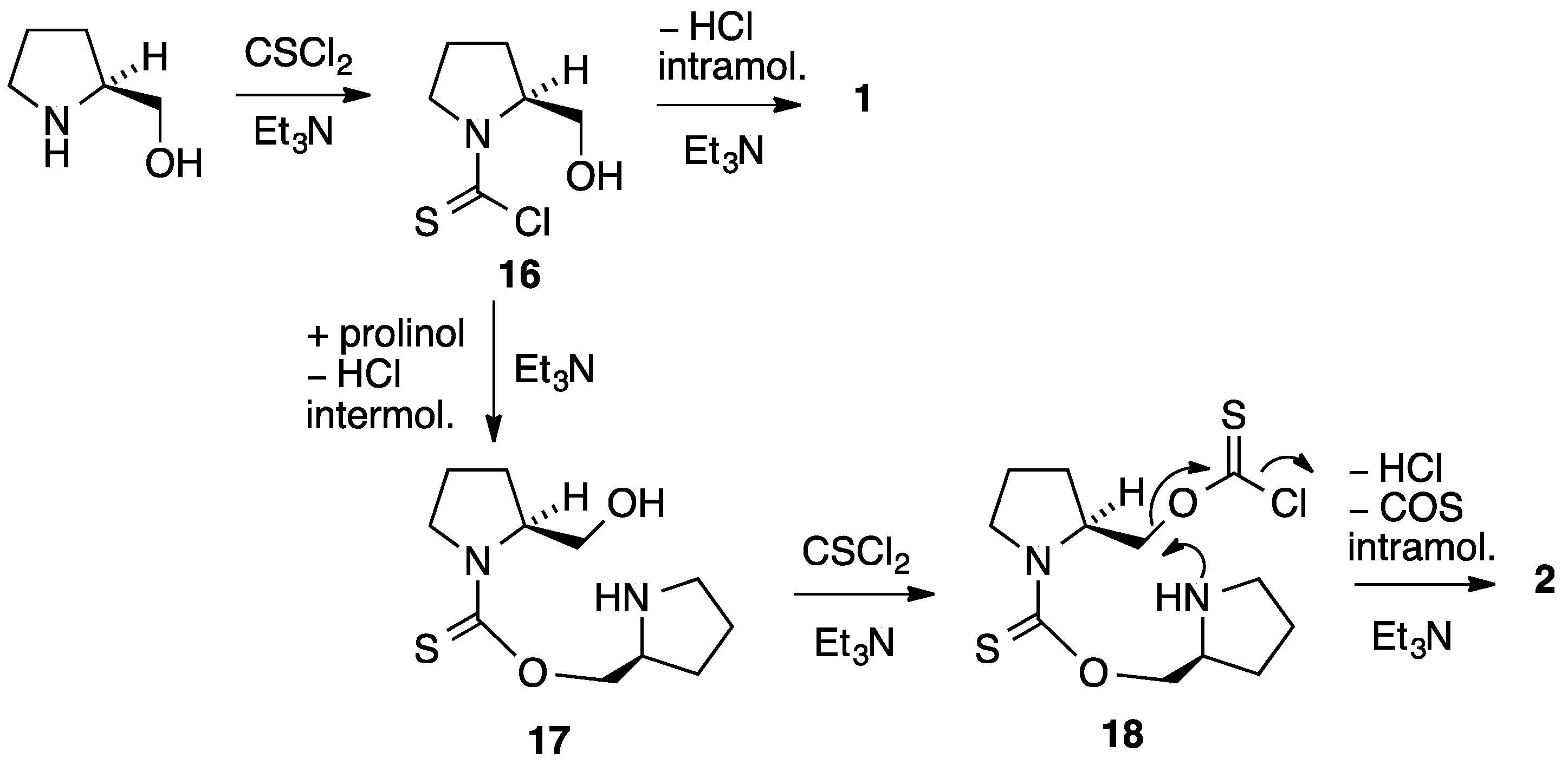 Molbank 2018 m993 sch002