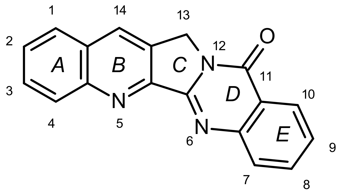 Molbank 2019 m1050 g001